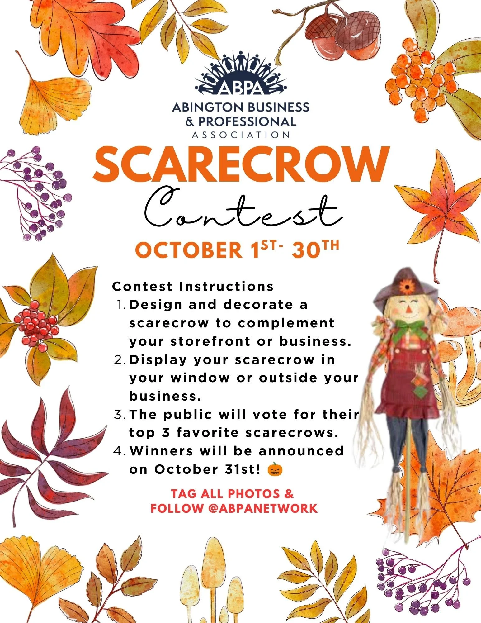 Scarecrow Competition 2026