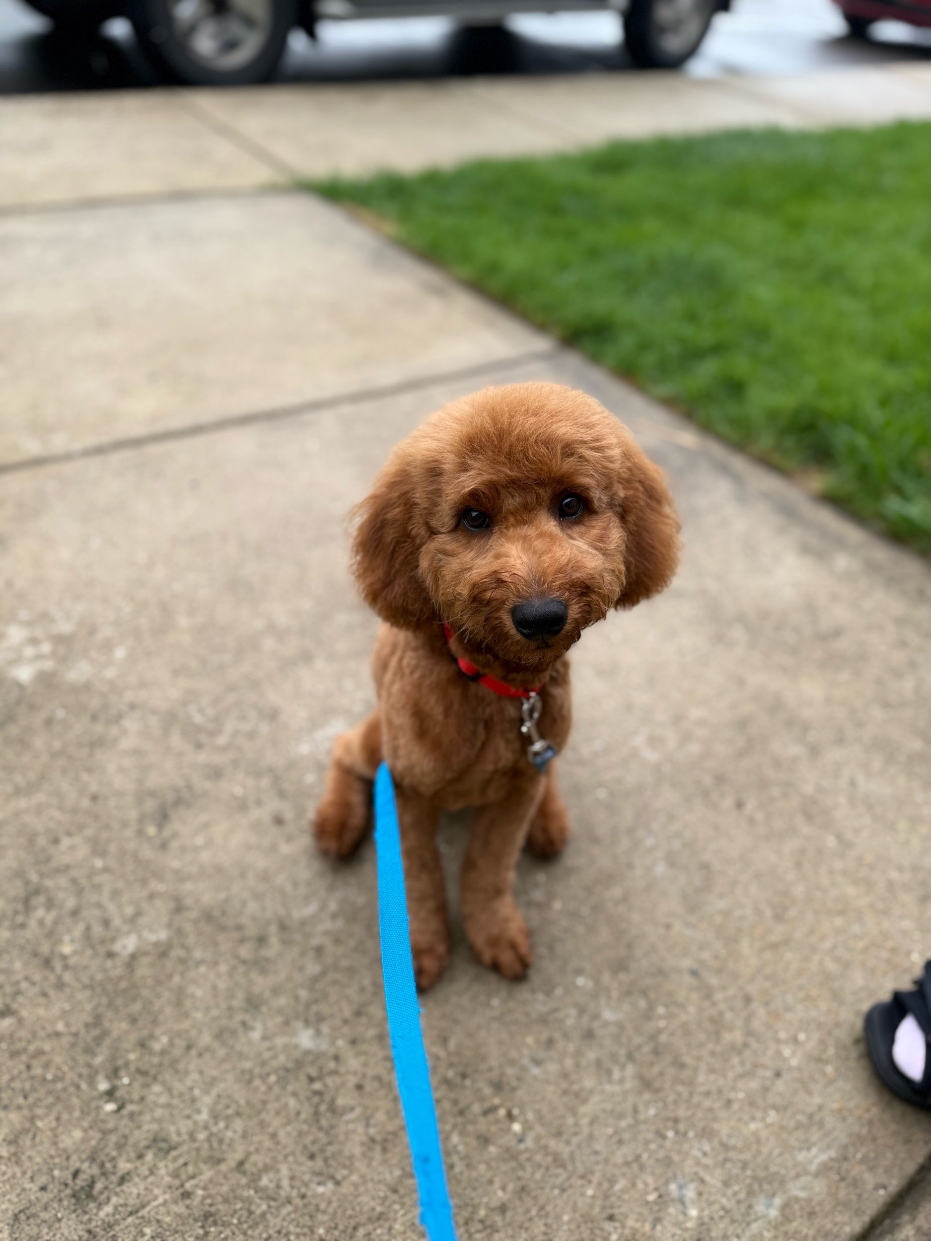 70929001-2E7B-4A1B-8F14-D01395BF5DC1.jpeg