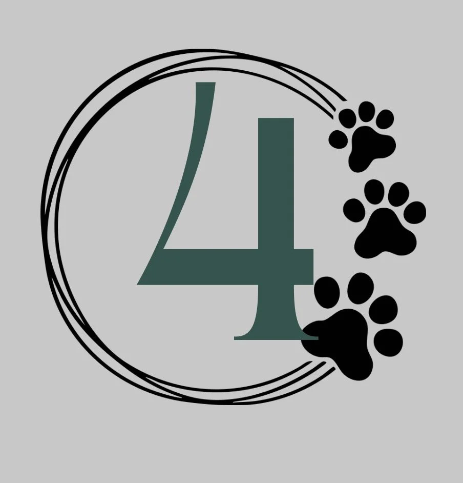 Leash walking + Heel command