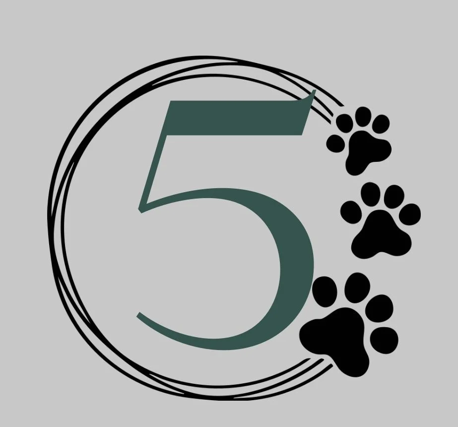 Come + Stay commands