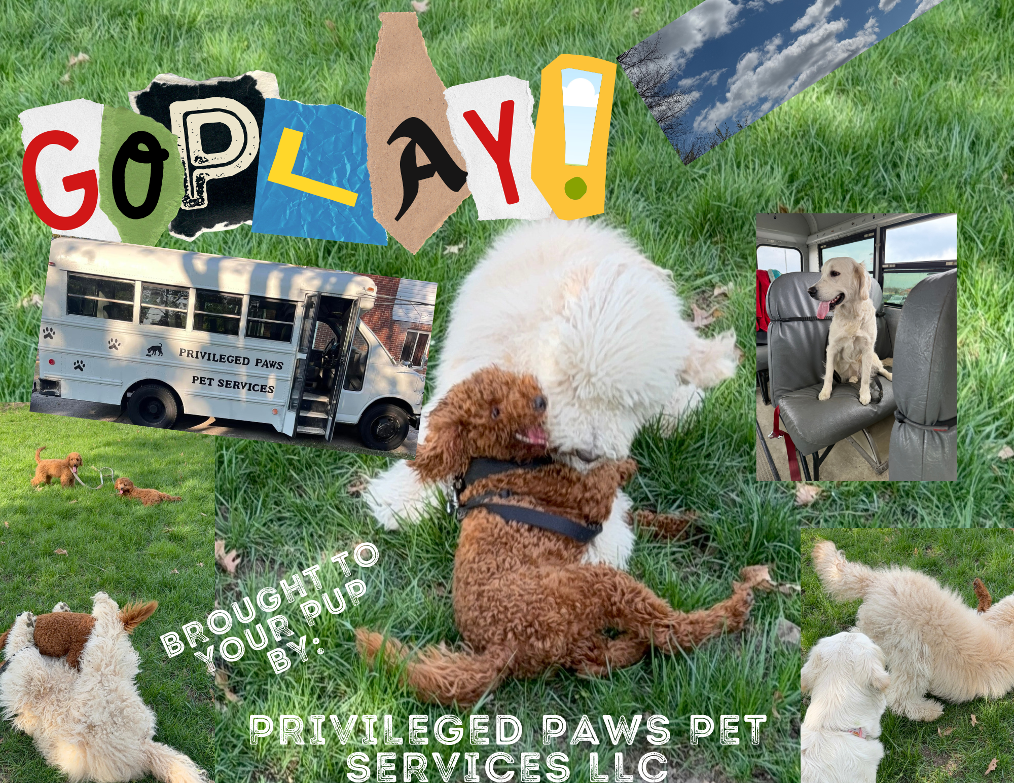 Go play flyer!.png