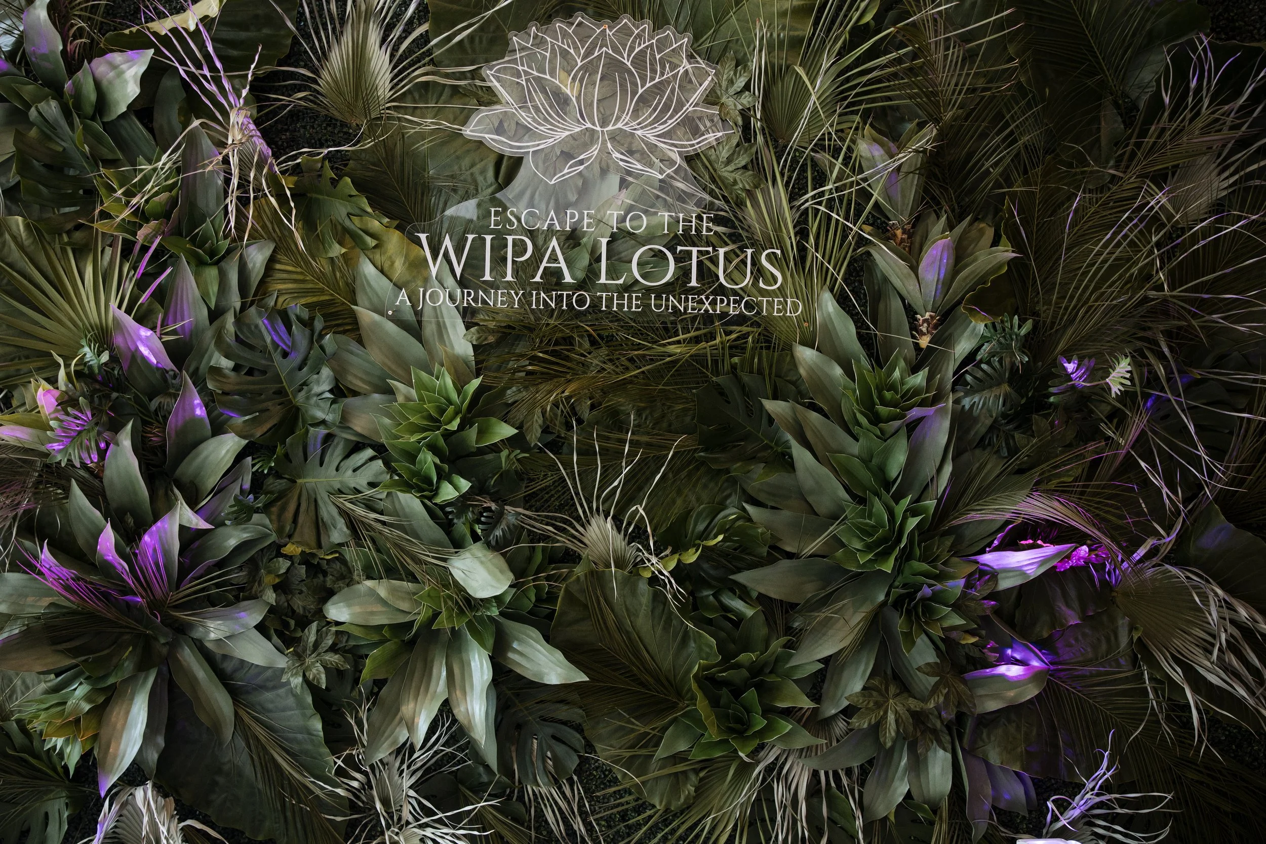 WIPA white Lotus_Andrea de Anda Photography_001.jpg