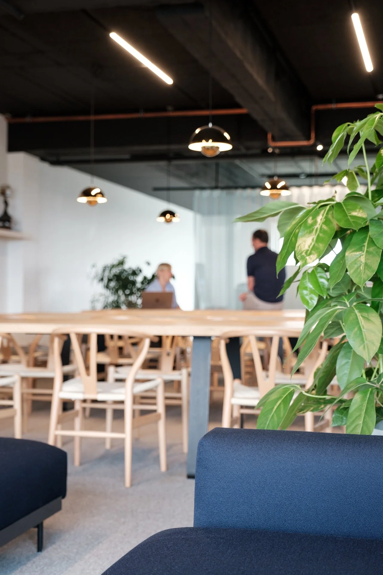 Stadim Antwerp workplace design office