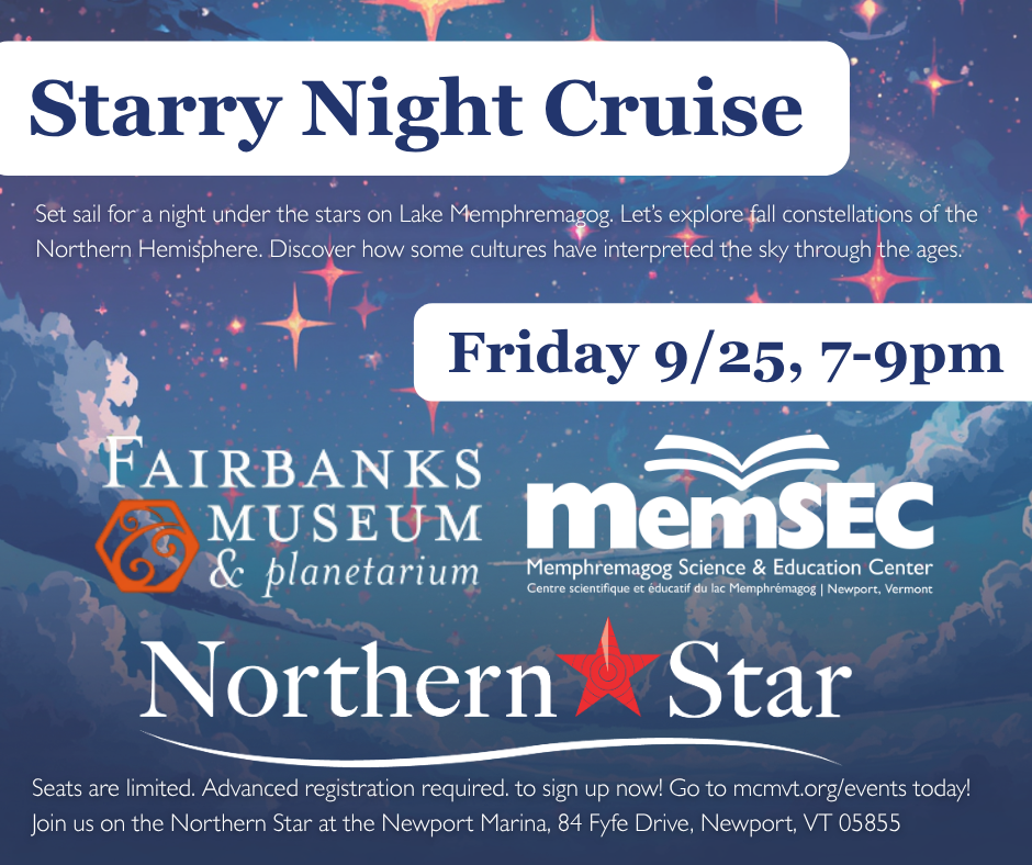 Starry Night Cruise