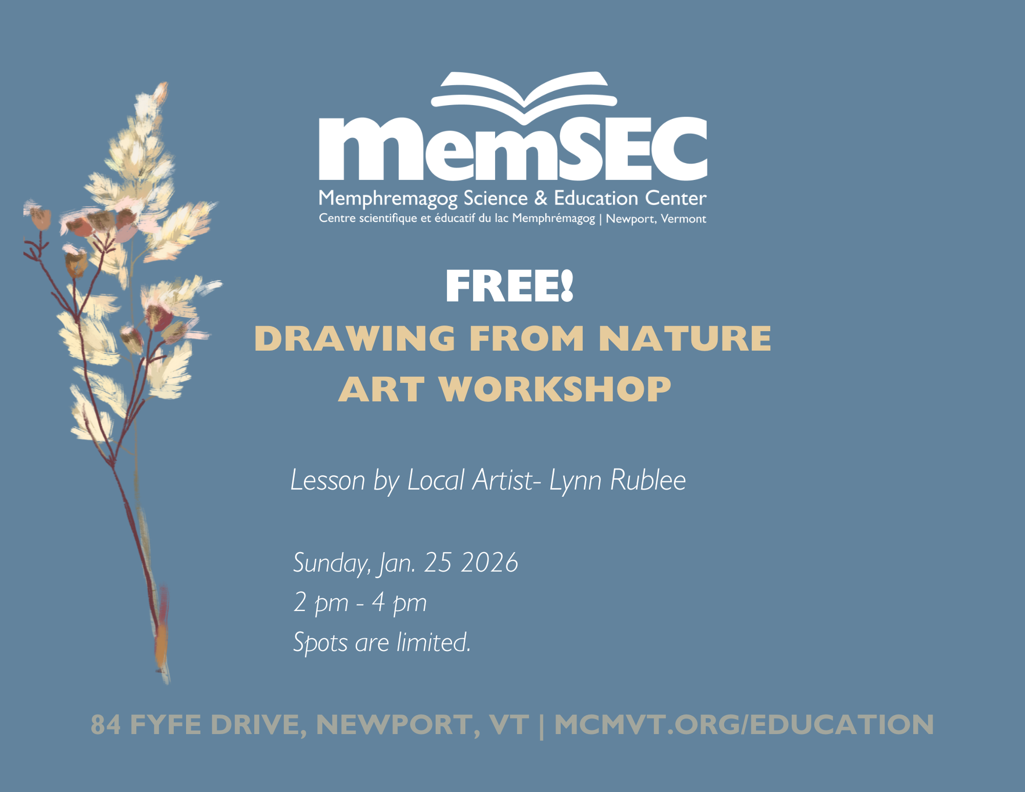 Drawing from Nature with Lynn Rublee