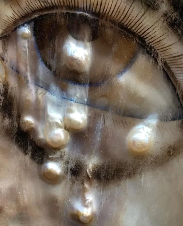 aegon iii targaryen.jpeg