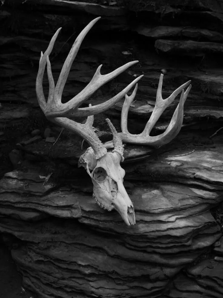 Photo by LeeAnn Hughes-Mastin.jpeg