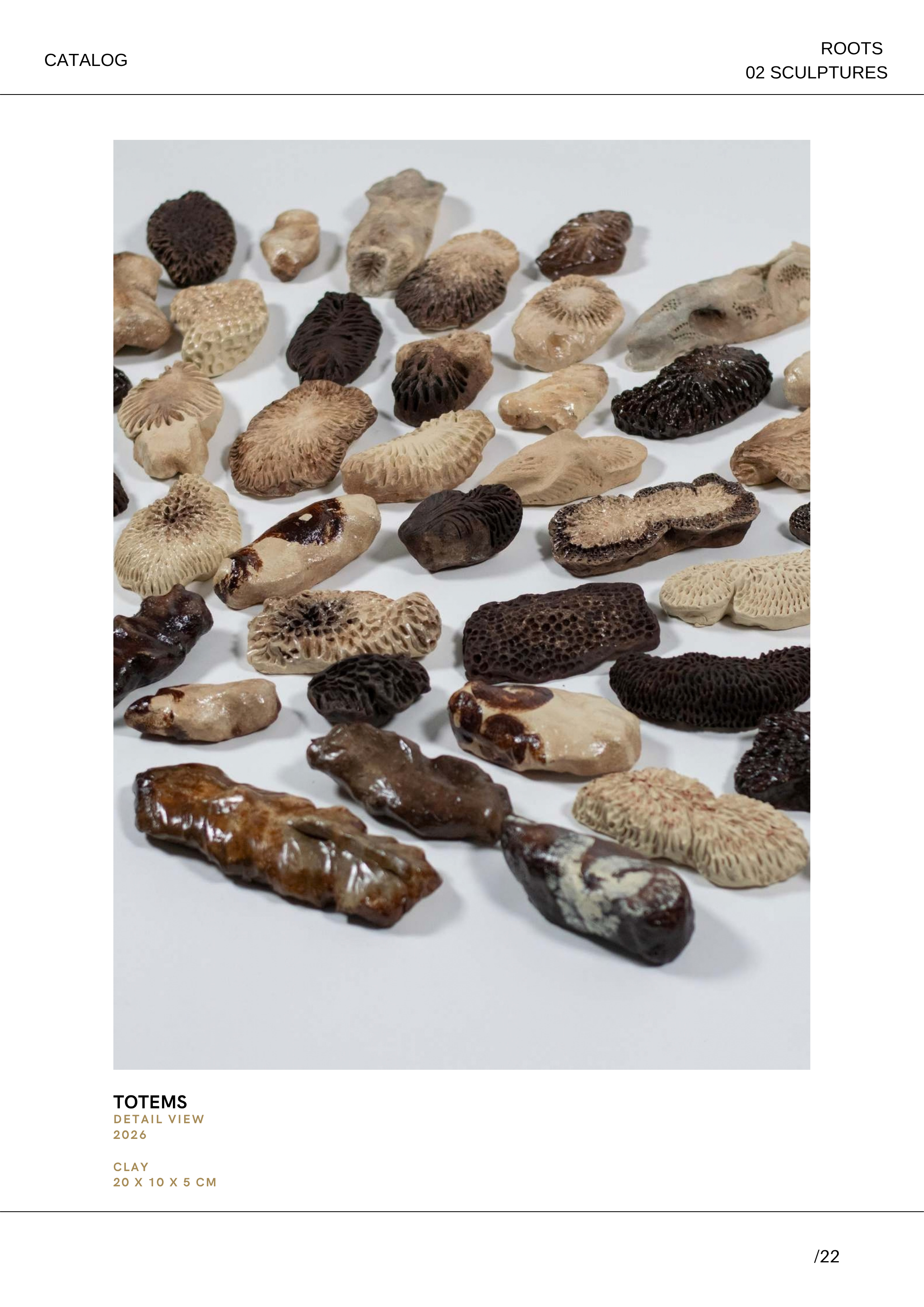 Verschiedene Fossilien und Mineralien, hauptsächlich Muscheln und Algen, sind auf weißem Hintergrund ausgestellt, Teil einer Sammlung namens Roots 02 Sculptures, mit einer Textbeschreibung im unteren Bereich.
