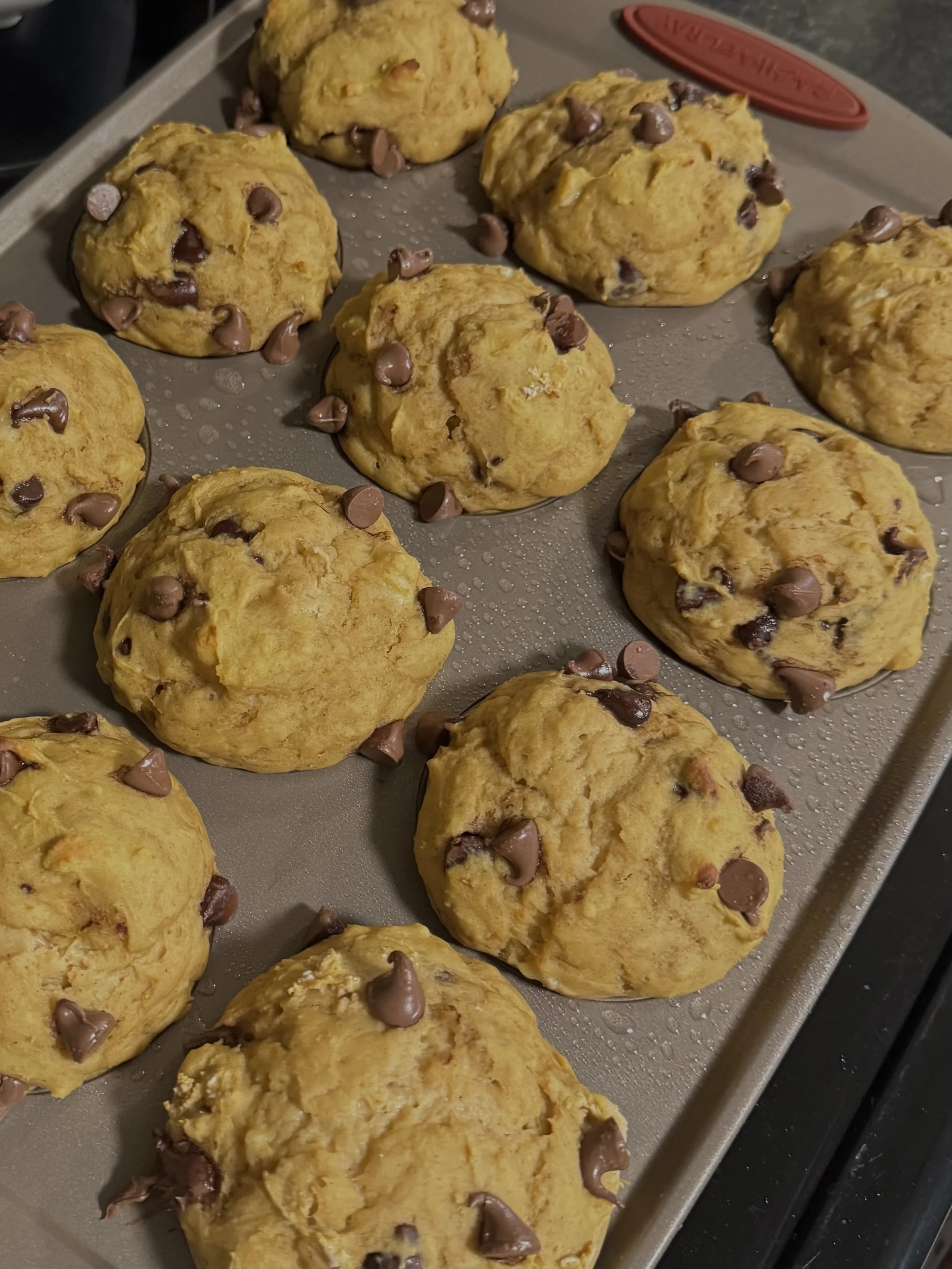 Pumpkin Protein Muffins 