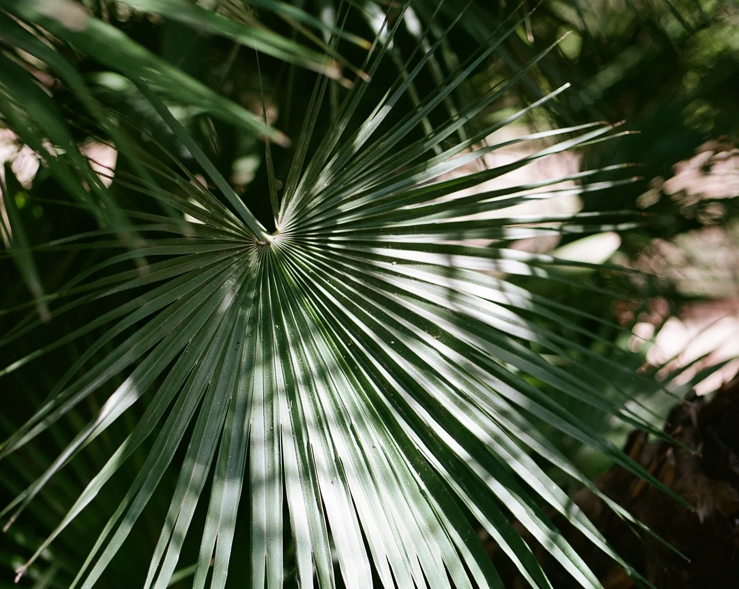 The camera as an extension of my heart