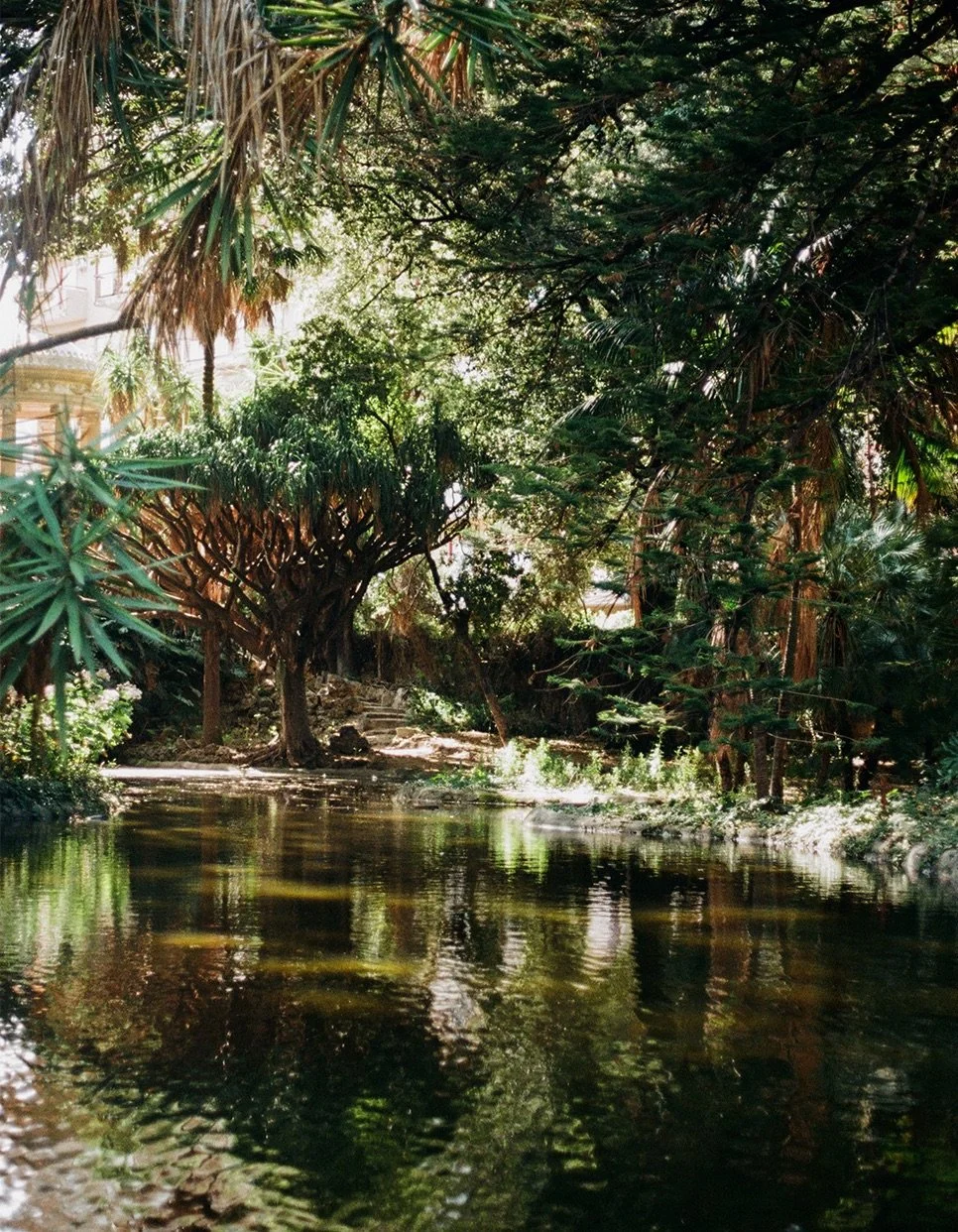 Oneness and the Garden of Eden