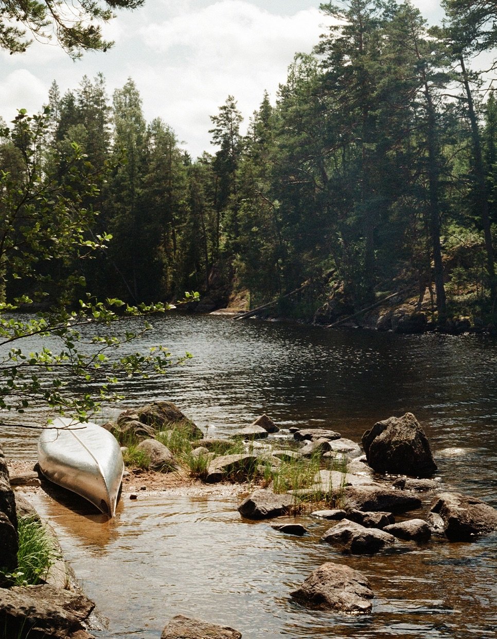 I spent 7 days in the wild and this is what I learned #1