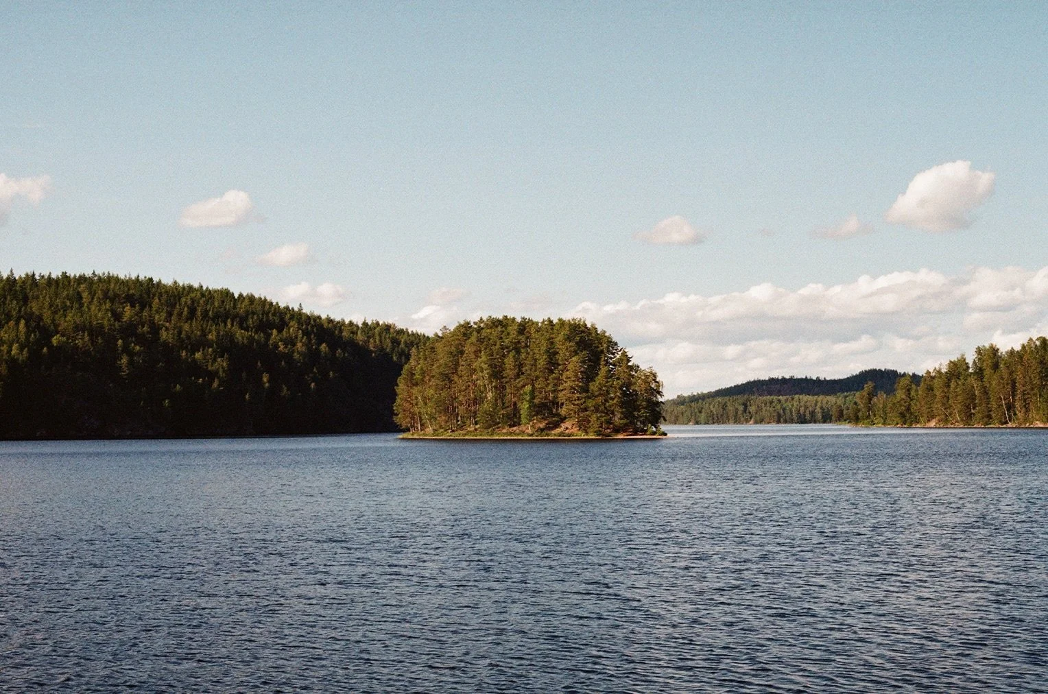 I spent 7 days in the wild and this is what I learned #2