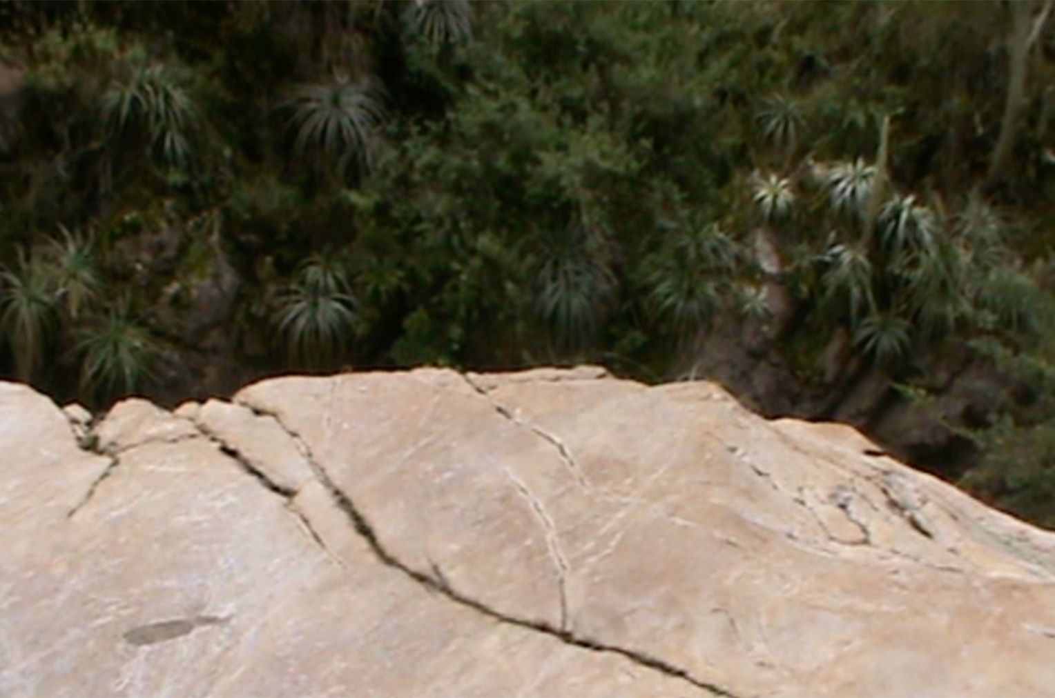 A conversation with Rock Roberto