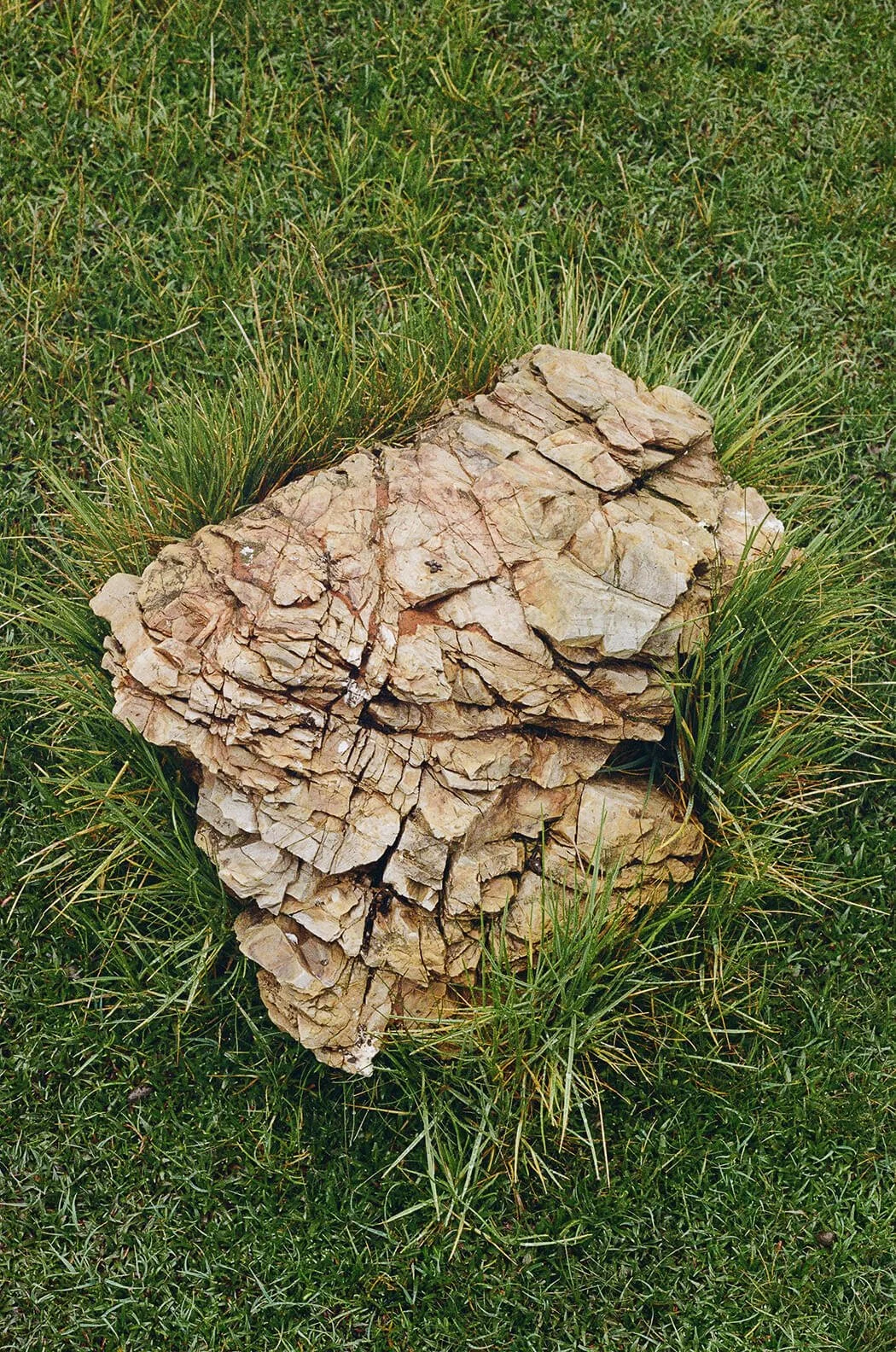 Textured rock in grass in Peru