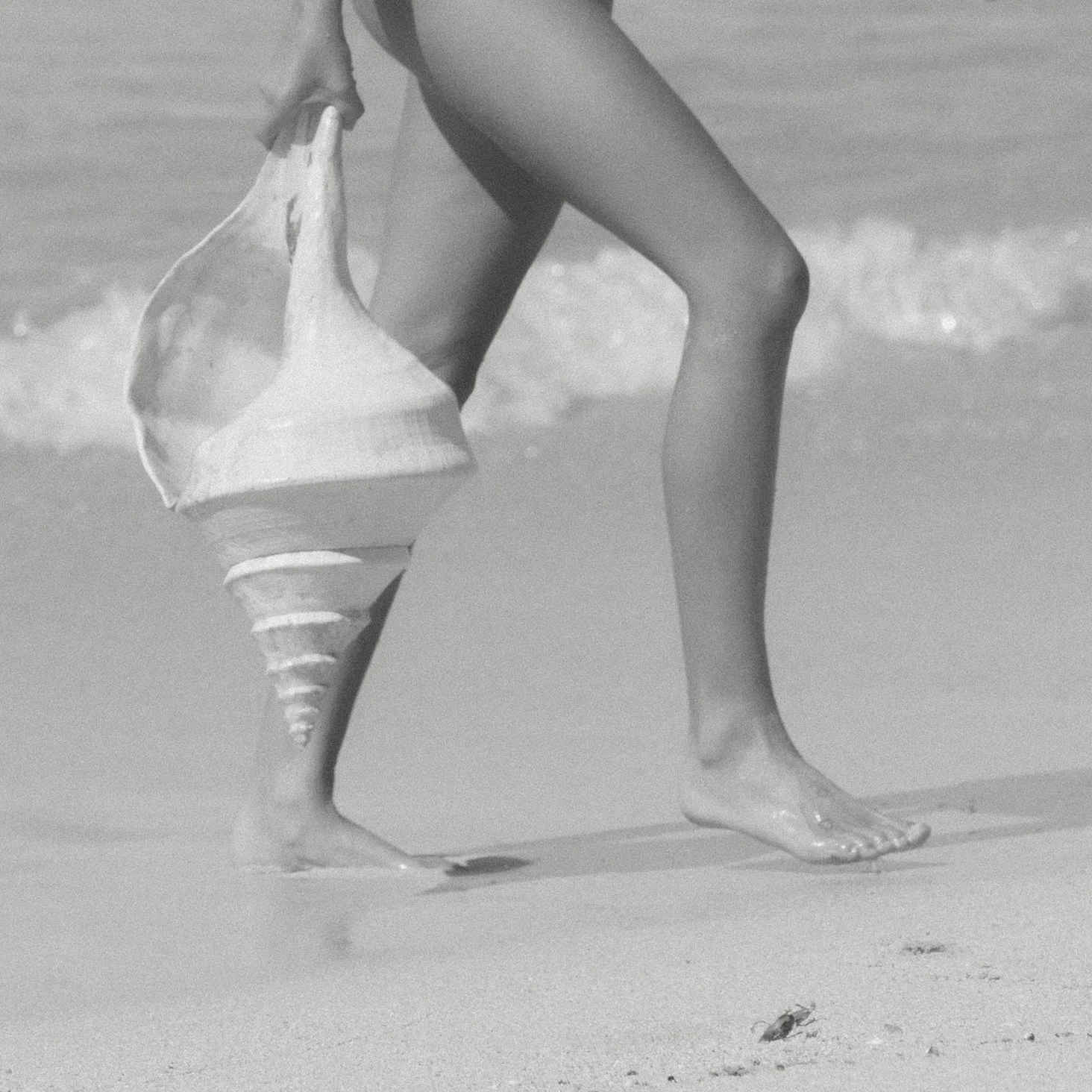 black and white image of the legs of a woman walking on the beach holding a giant shell