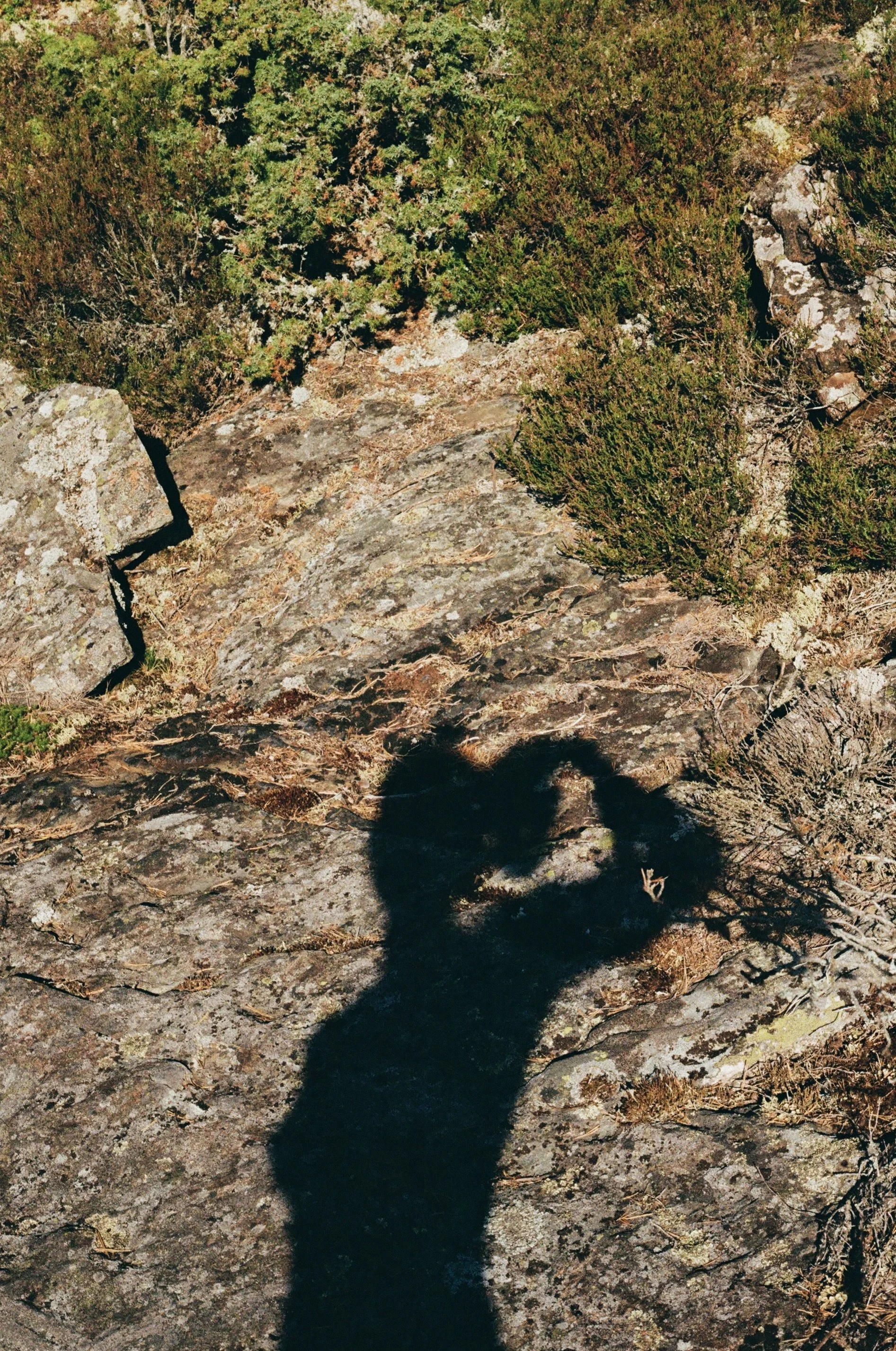 shadow of a woman on rocks and moss in the forest