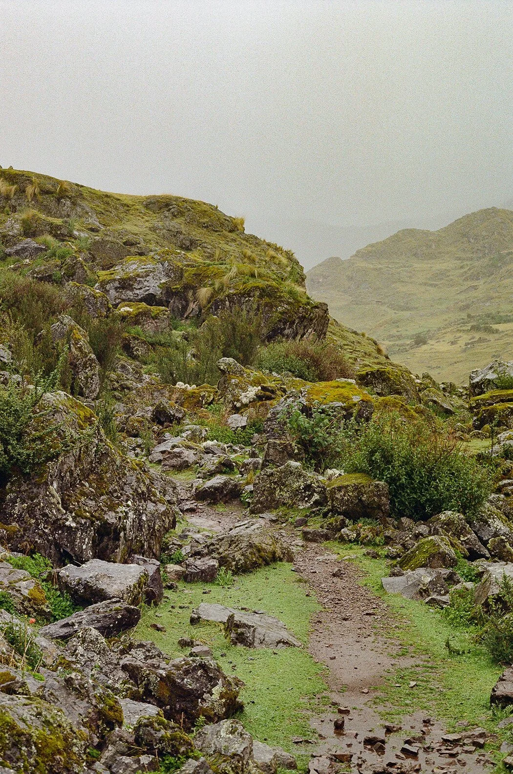 Ancient moss and rocks in mountains in Peru