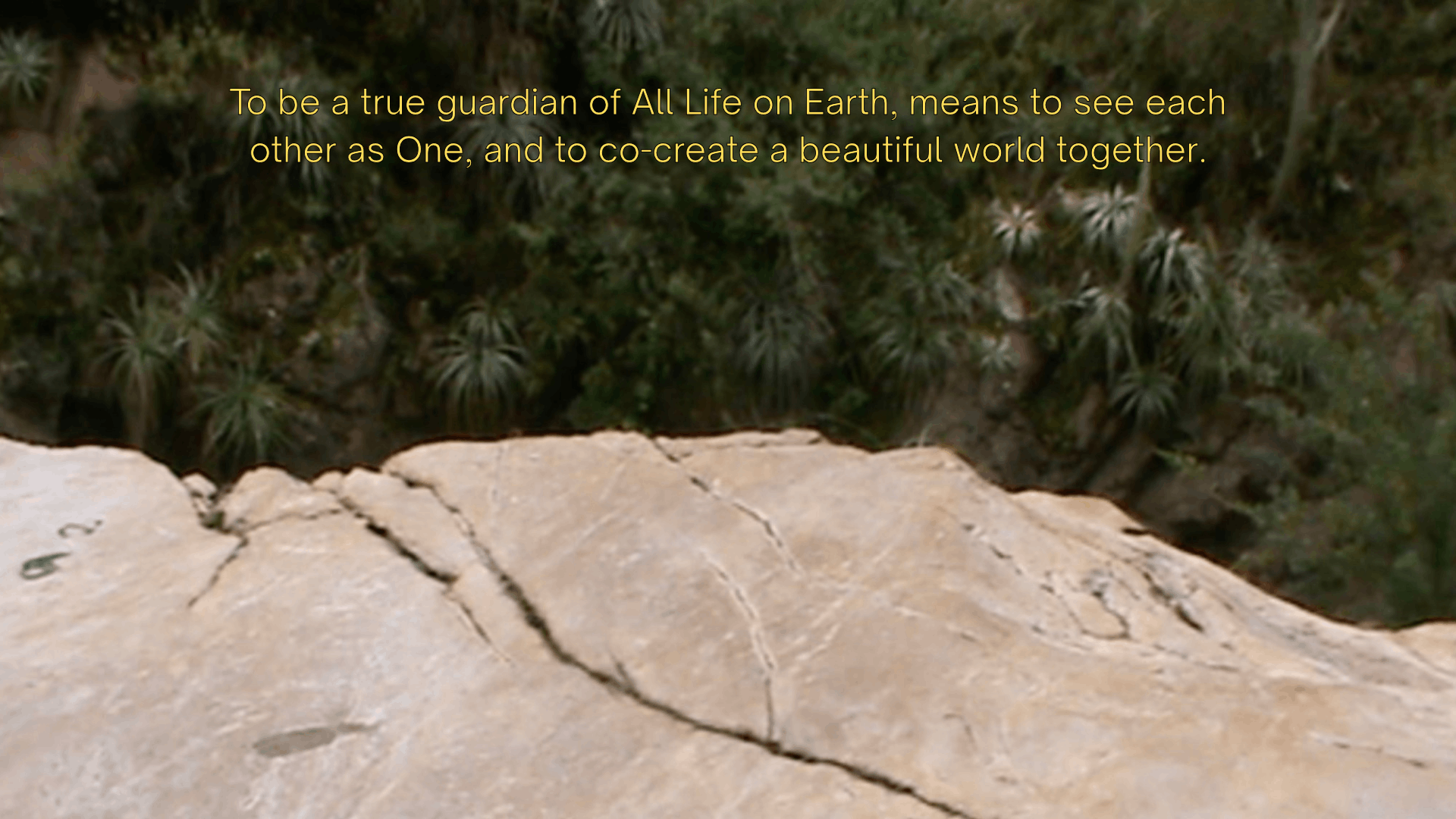 Rock and greens with a text: To be a true guardian of All Life on Earth, means to see each other as One, and to co-create a beautiful world together.