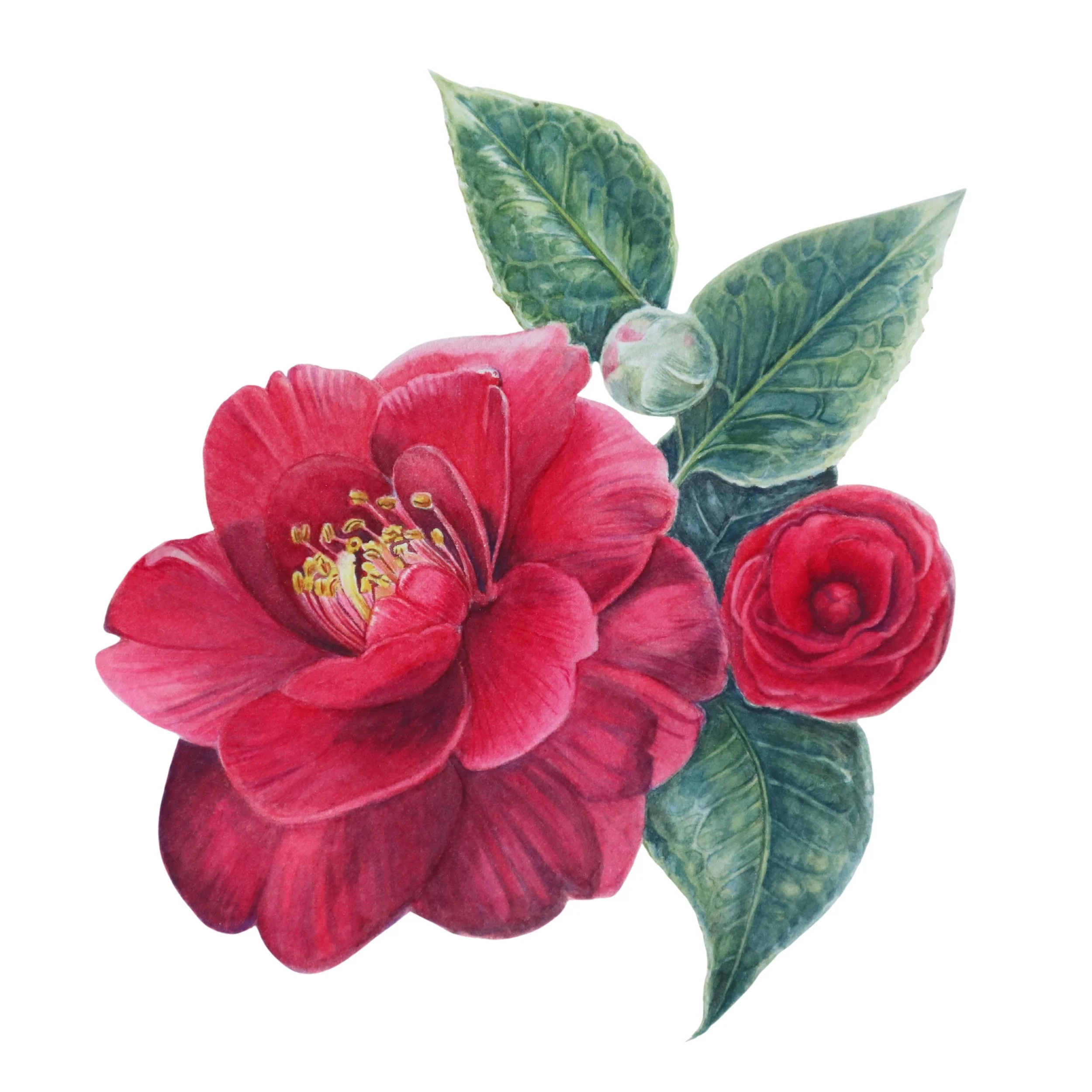 Copy of Copy of Copy of Untitled Design.jpg