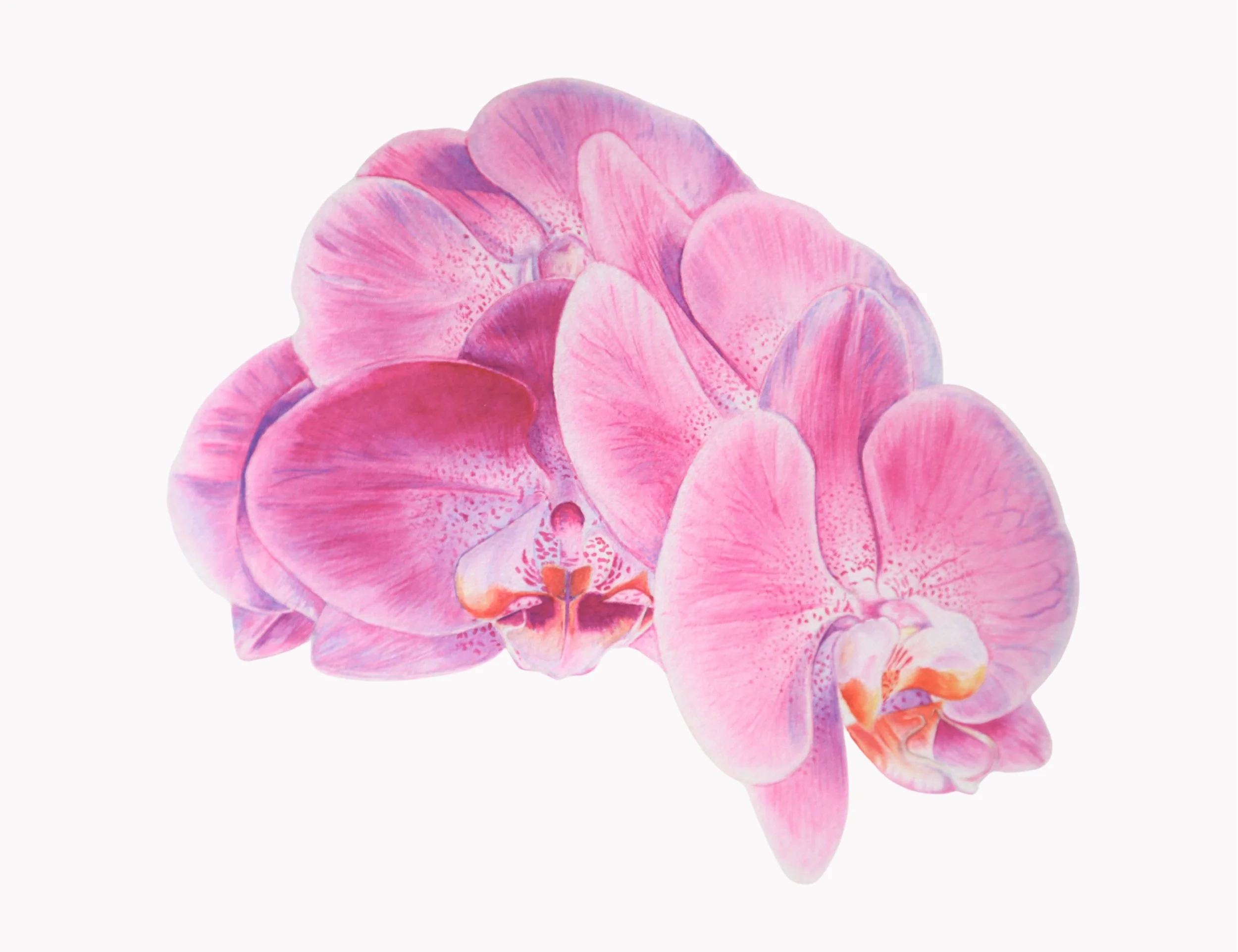 Copy of Untitled Design (18.3 x 10 cm).jpg