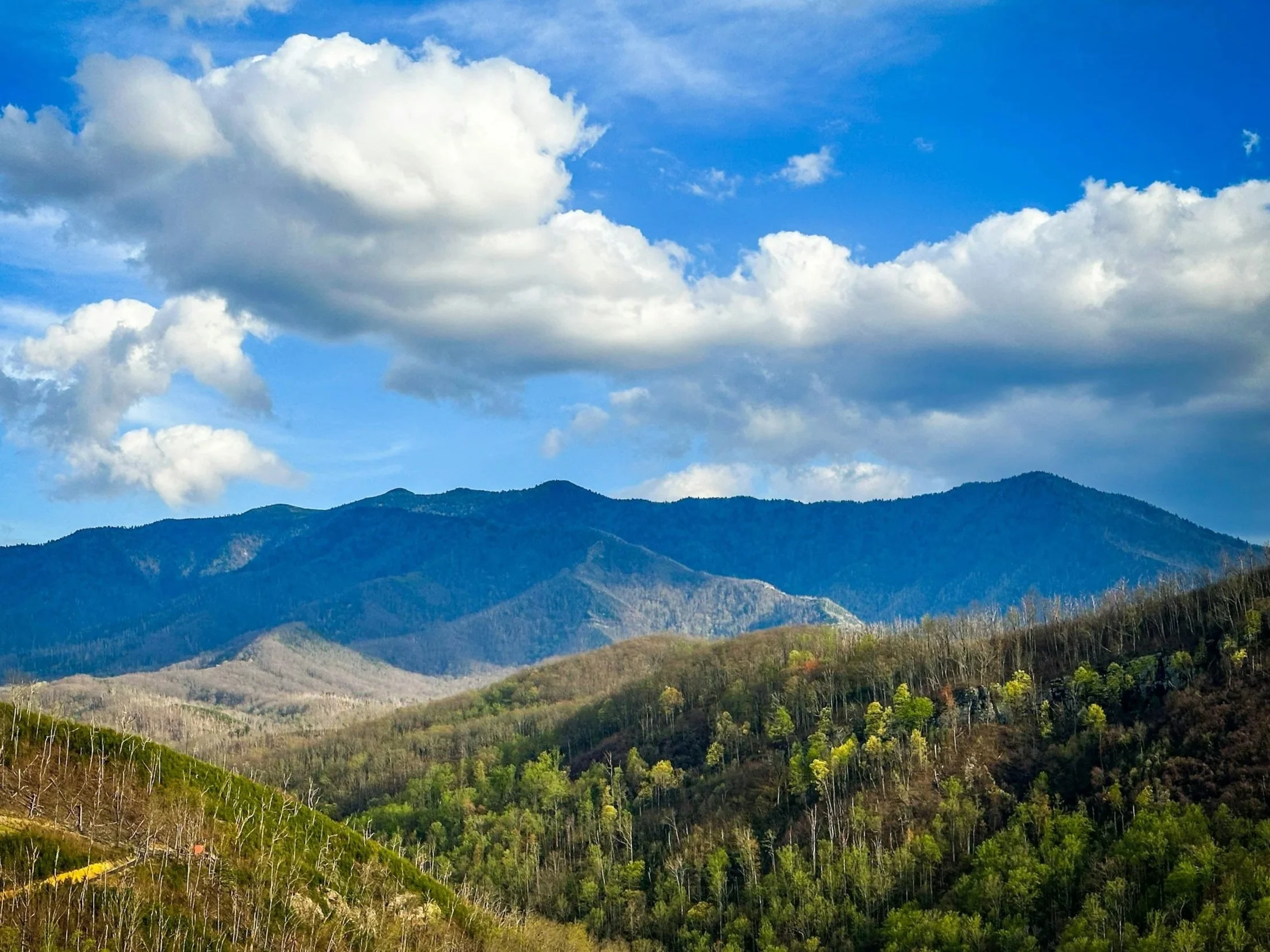 Lookout Mountain - Lookout Global