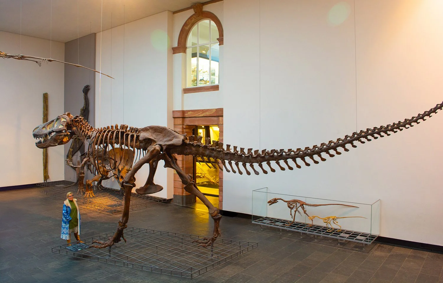 Scooter-Stopp beim T-Rex