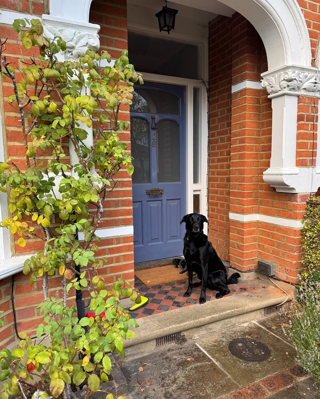 October has been a busy, creative and rewarding month - filled with installations, photoshoots and meaningful progress across our projects. There&rsquo;s nothing more fulfilling than seeing spaces we&rsquo;ve spent months designing finally take shape