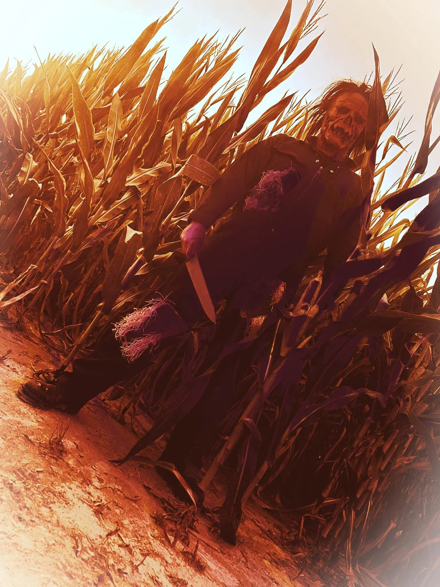 Gallery — 301 Devils Playground