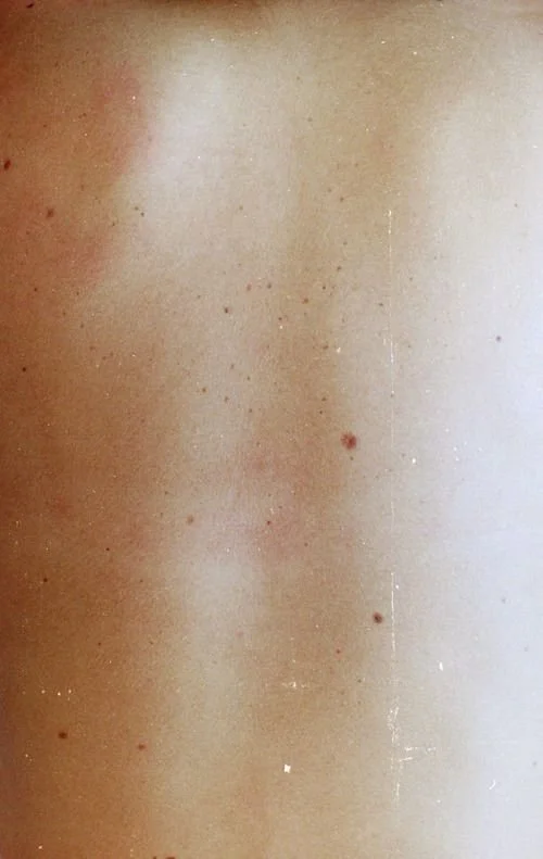 "MIST" (oil on linen)