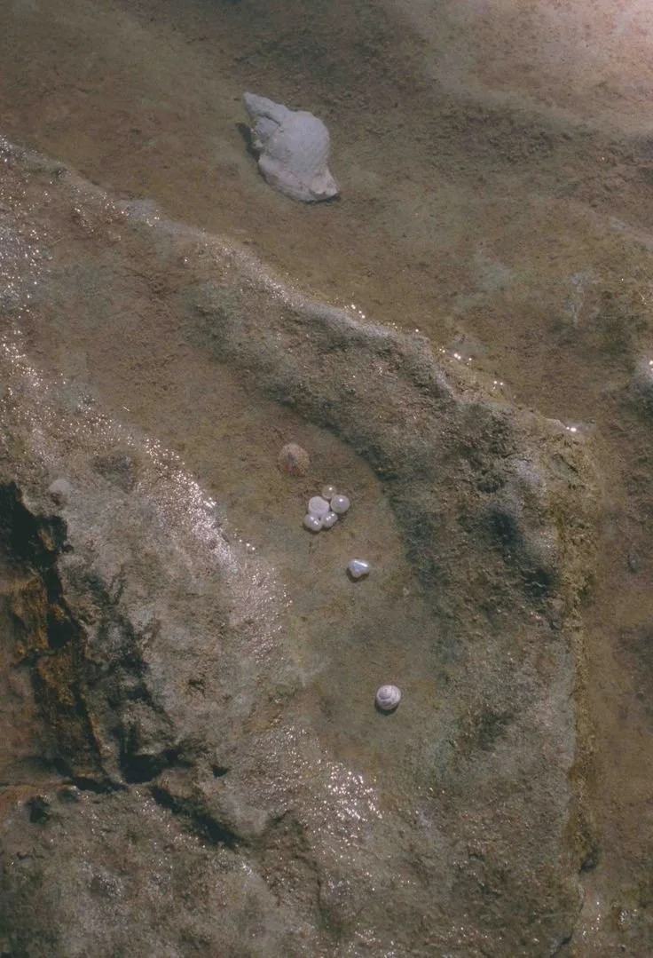 "MIST" (oil on linen)