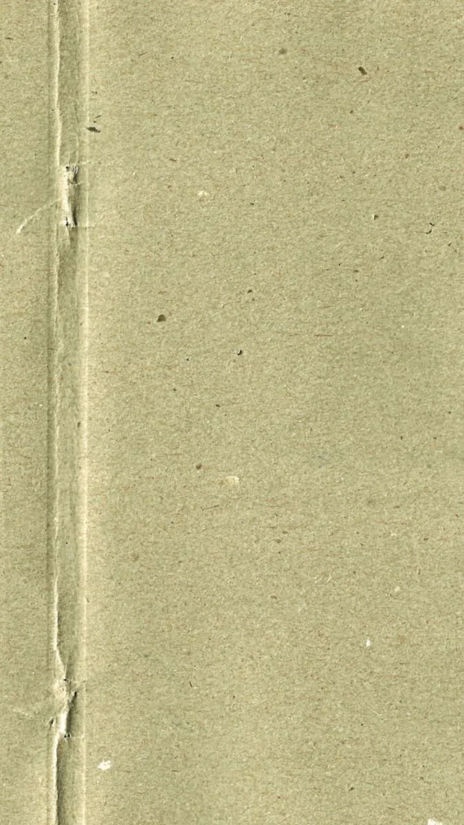 "MIST" (oil on linen)