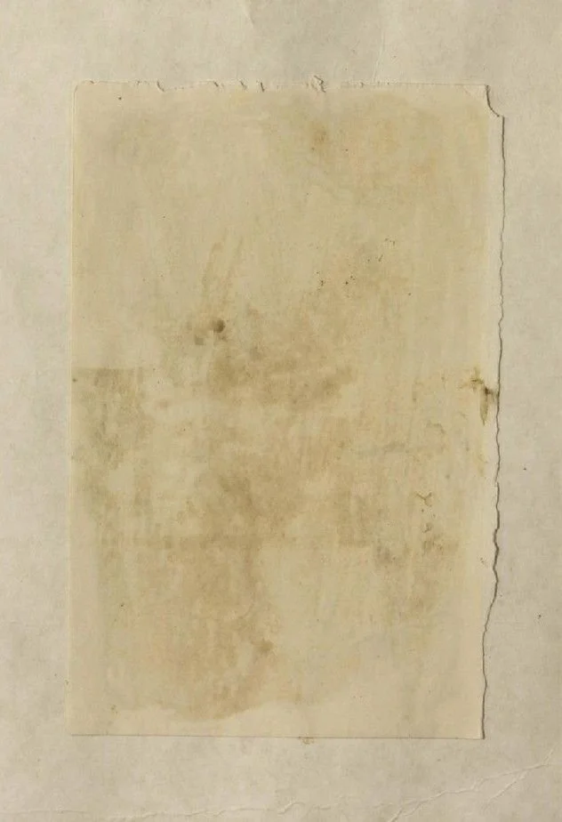 "MIST" (oil on linen)