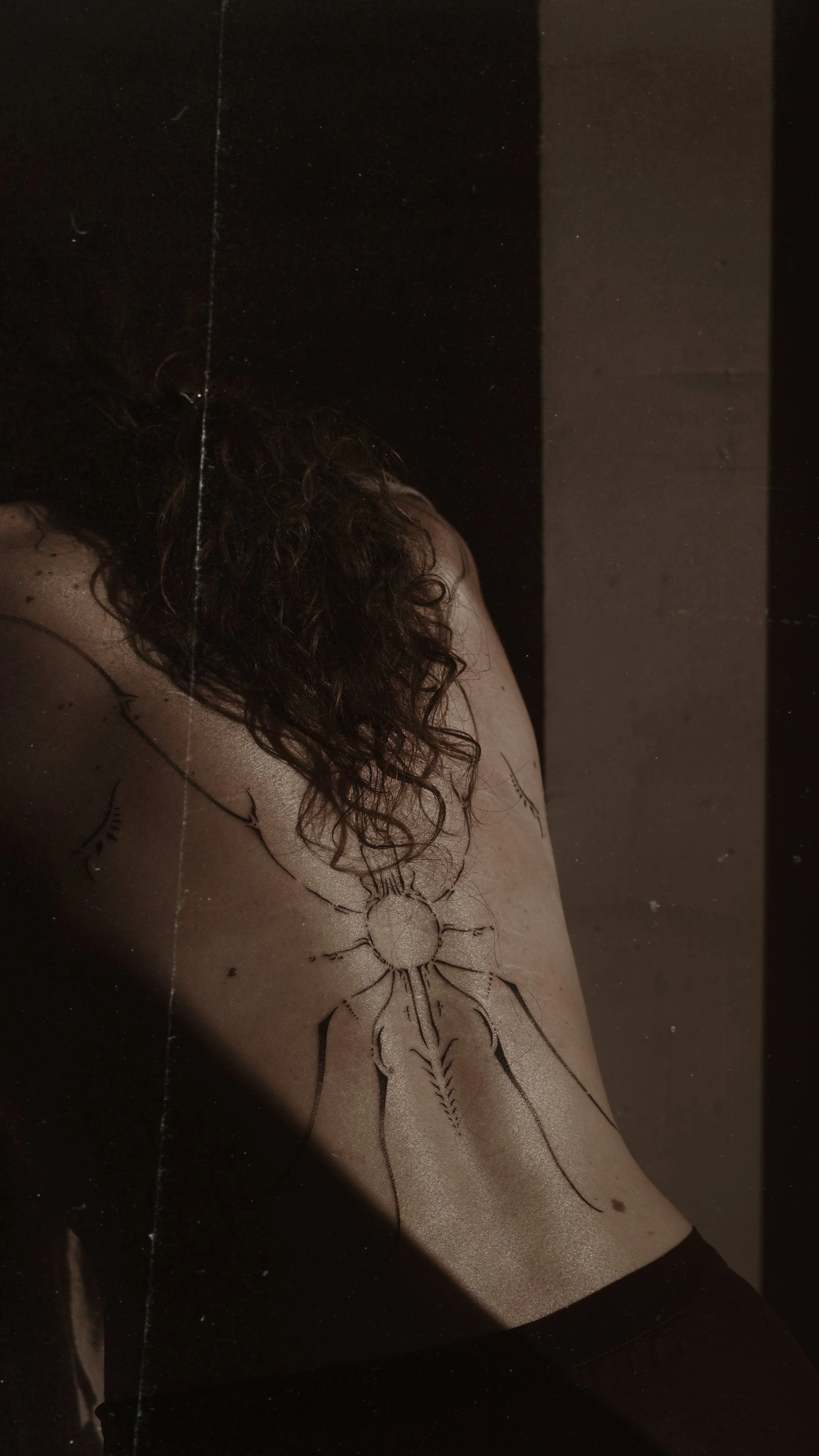 A person with curly hair and light skin has a black ink outline tattoo of a spider on their upper arm and shoulder, with the spider's legs extending down their arm.