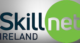 Skillnet_logo-removebg-preview.png