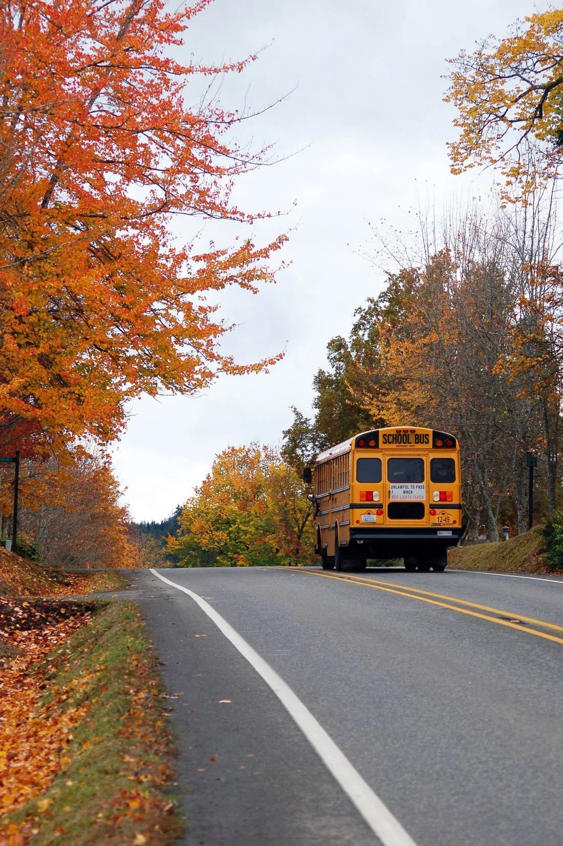 Back to School: A Few Things I Want Every Mom to Know This August