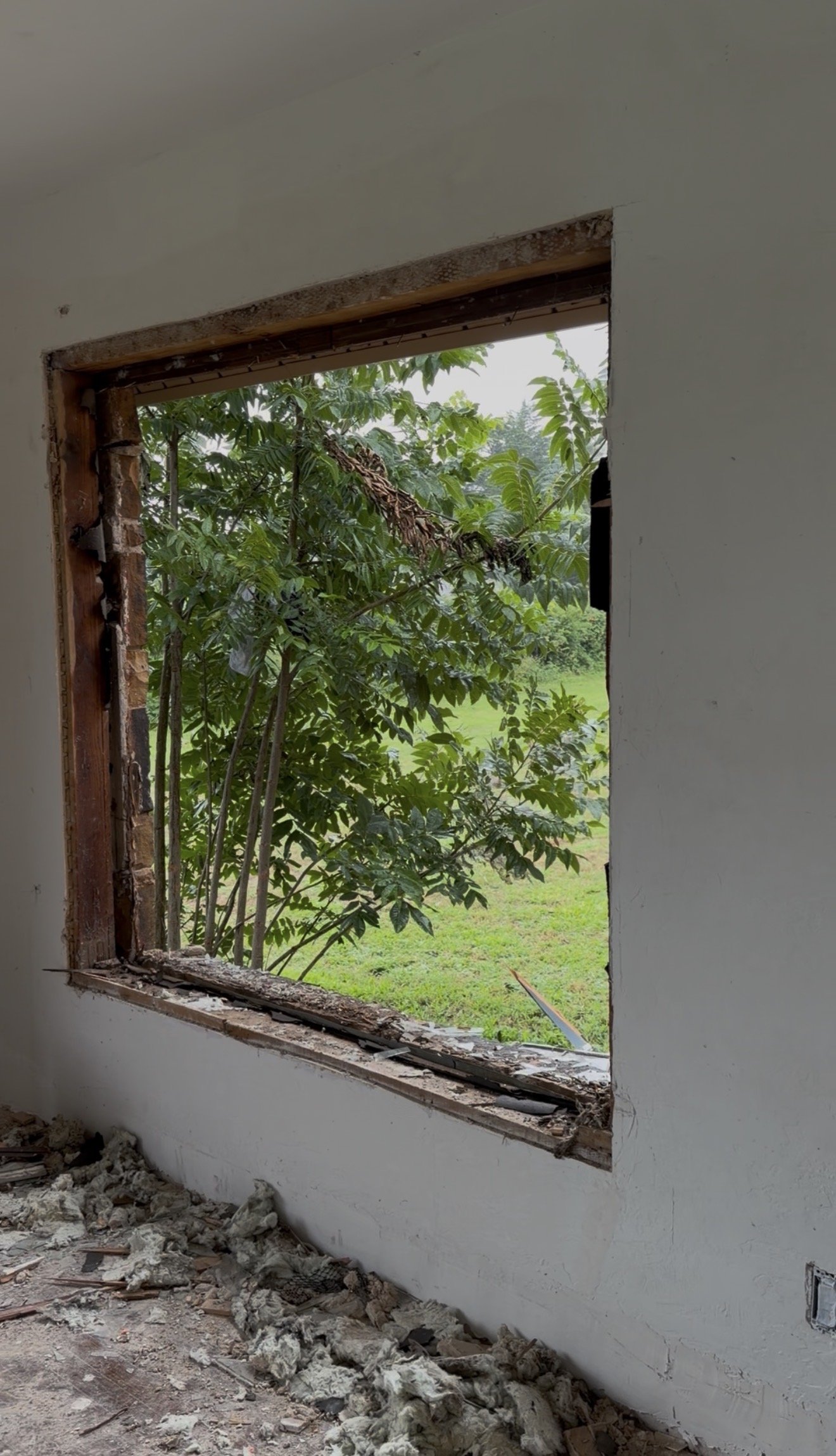demo window replacement forest park, oklahoma