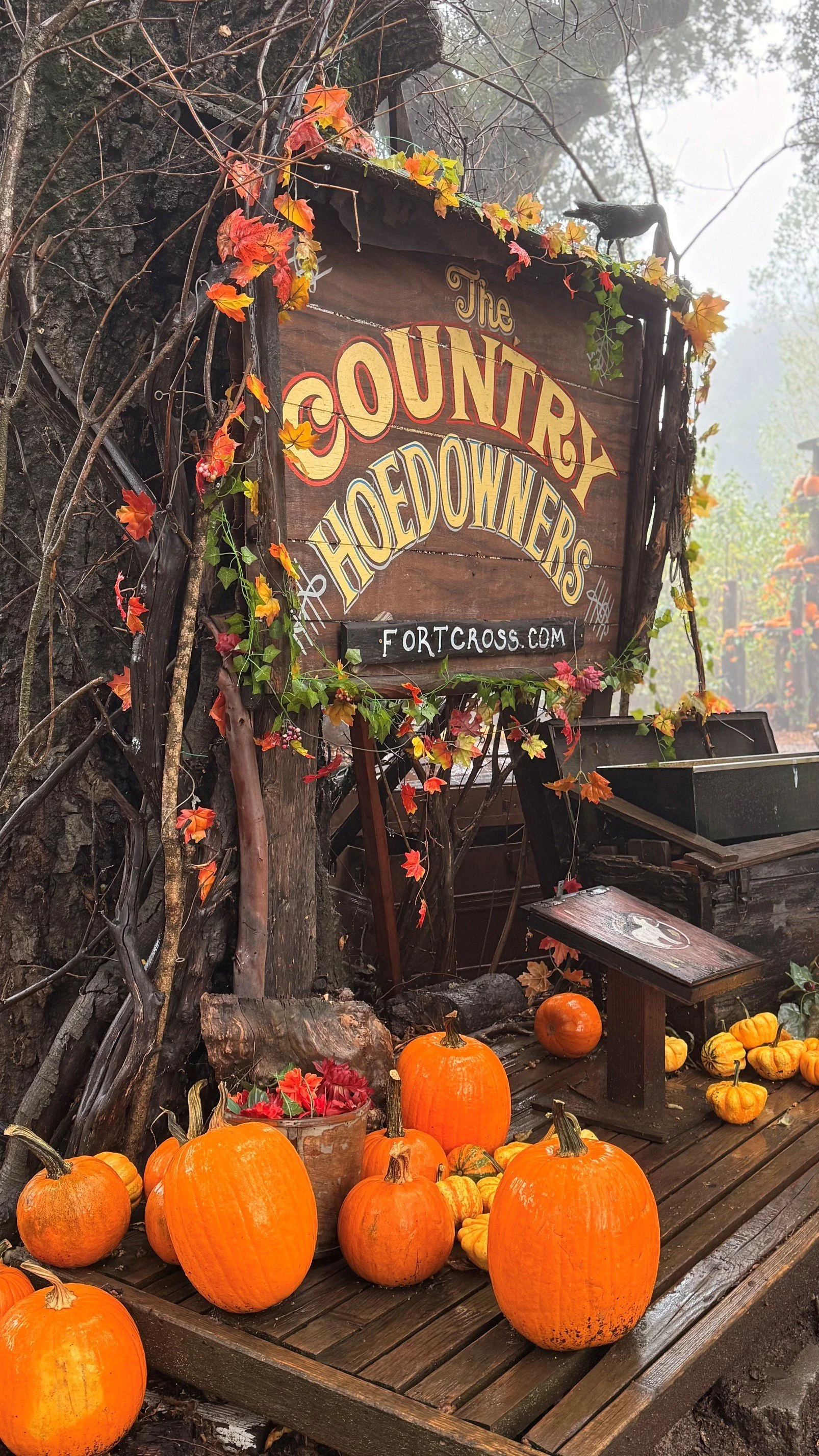 The Sweetest Stretch of the Year: The VERVE Family Guide to Halloween + Fall in North County