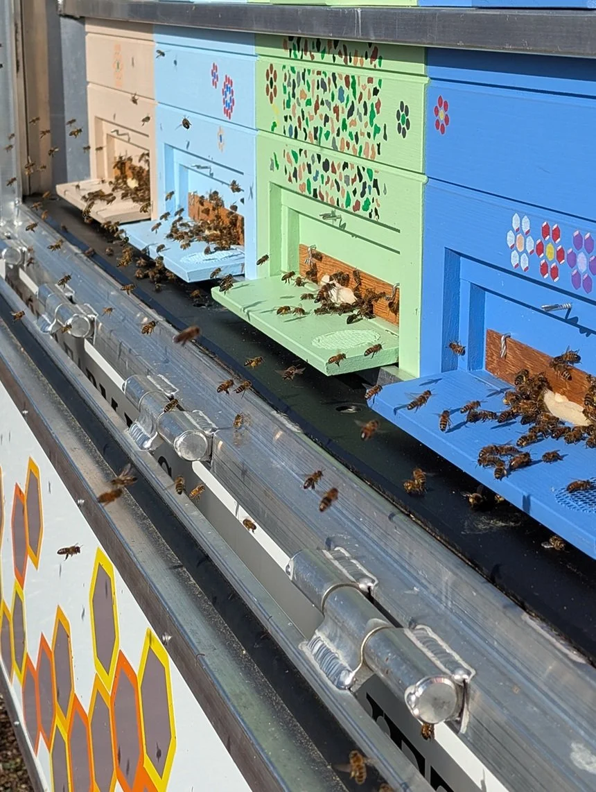 bee activity resize.jpg