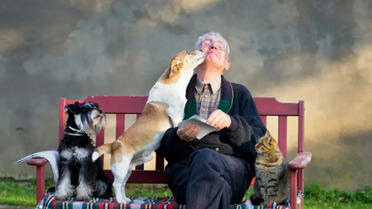 An elderly man sitting on a red bench outdoors, being kissed on the face by a small tan and white dog. A black and gray dog and a tabby cat sit beside him, with the man holding a book. The background features a cloudy sky and some greenery.