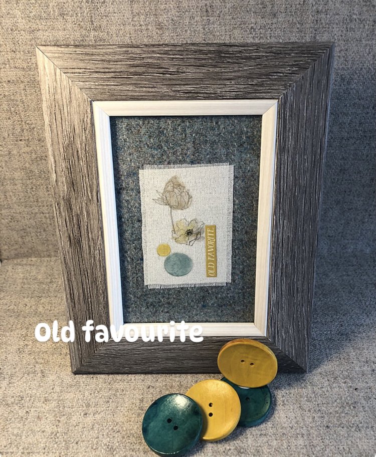 Taperology Frames
