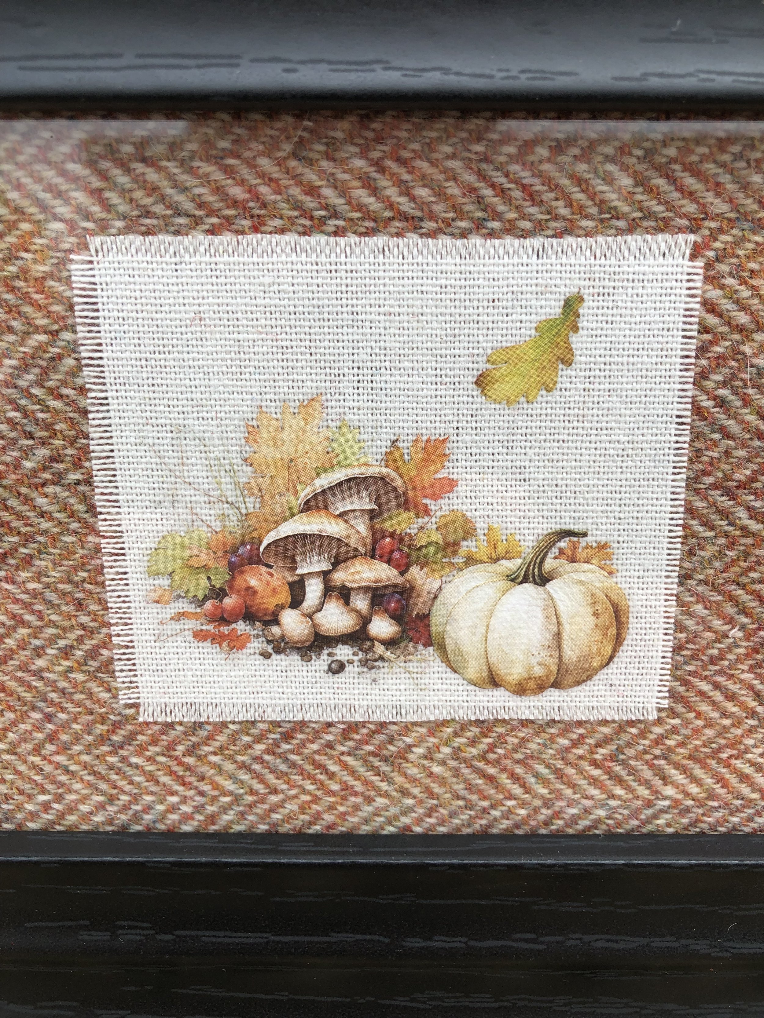 Halloween tweed Taperology frames