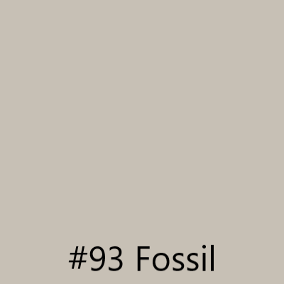 Fossil_.png