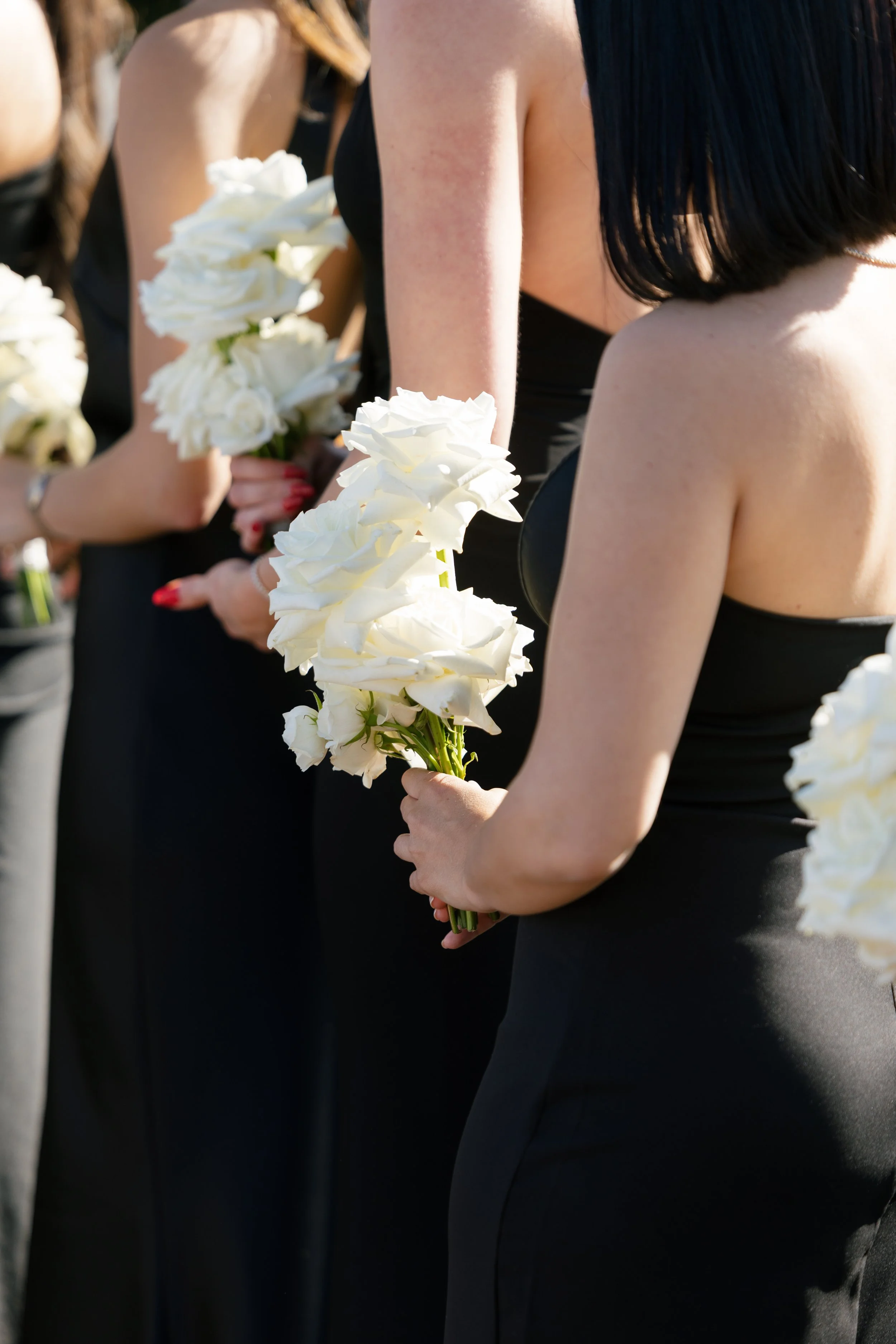 rosefreedmanphotography-260.jpg