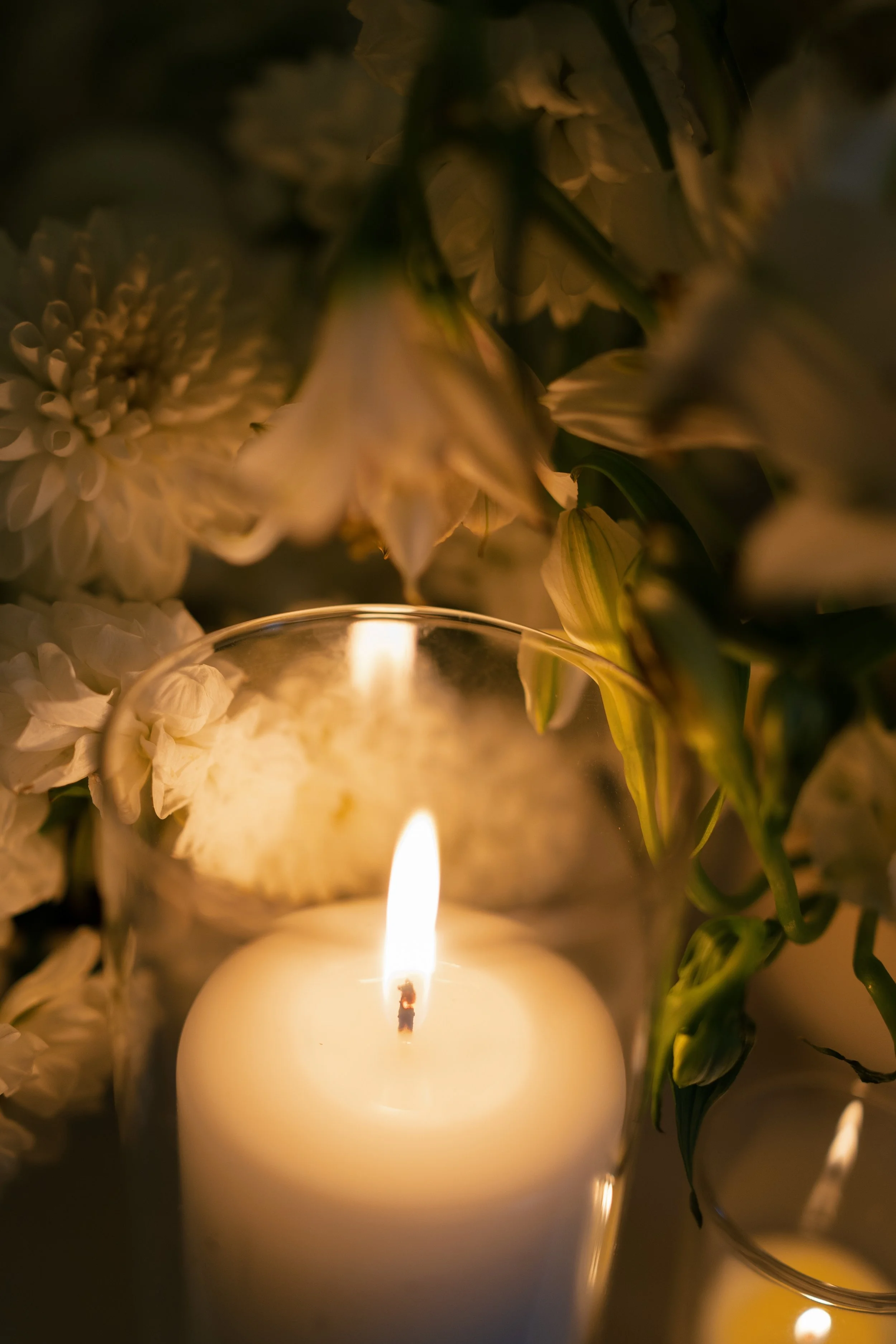 rosefreedmanphotography-474.jpg