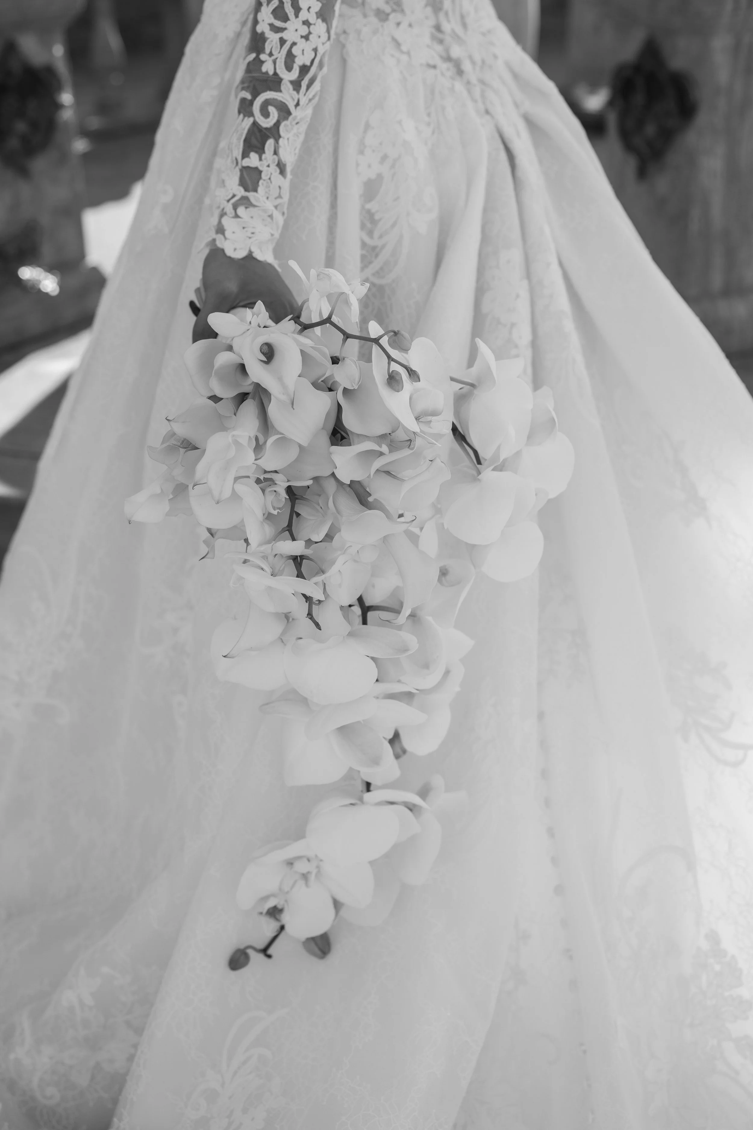 rosefreedmanphotography-368.jpg