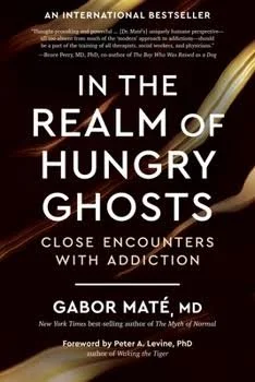 In the Realm of Hungry Ghosts Book
