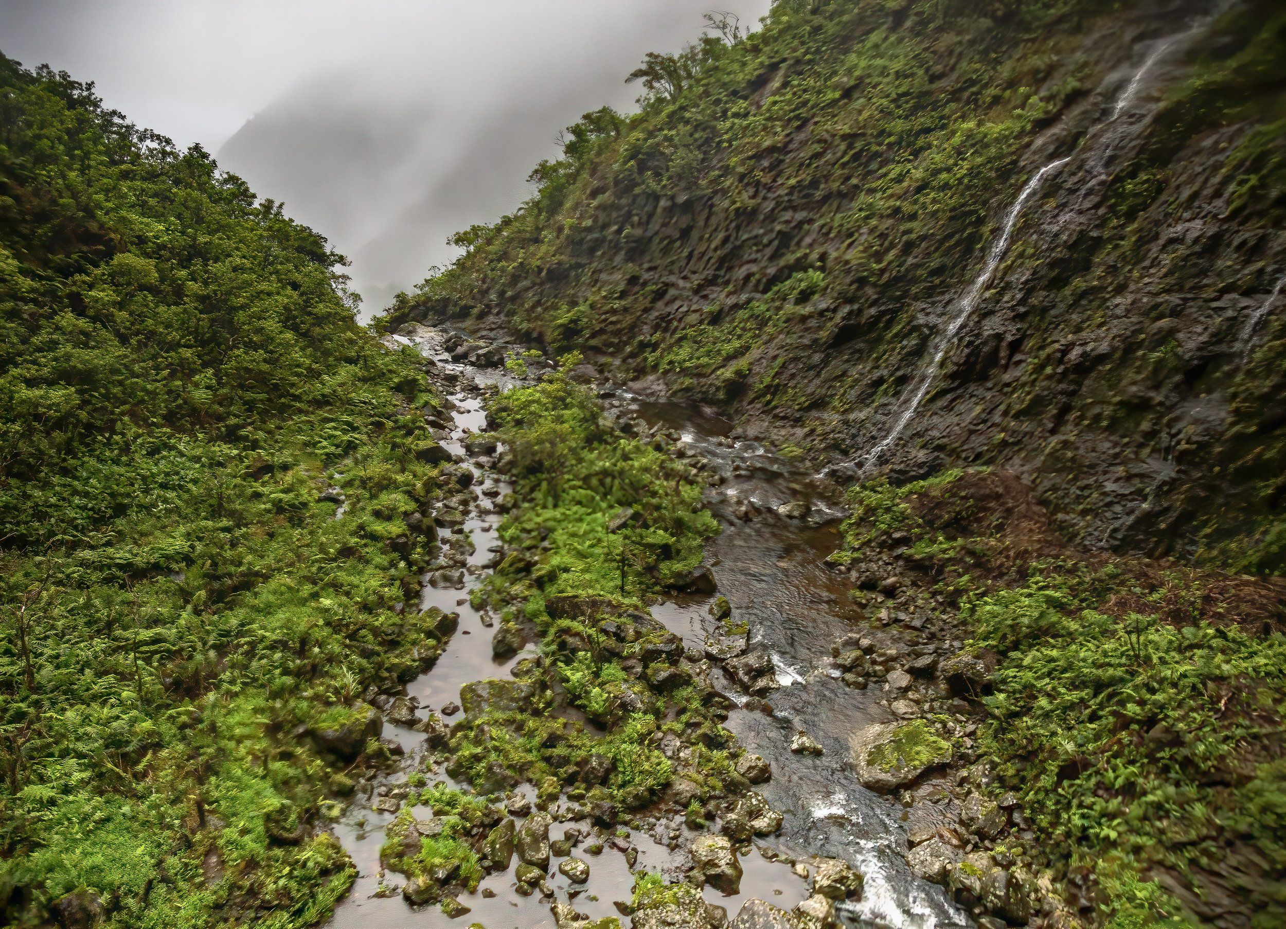 01 Honokohau Falls DC.jpeg