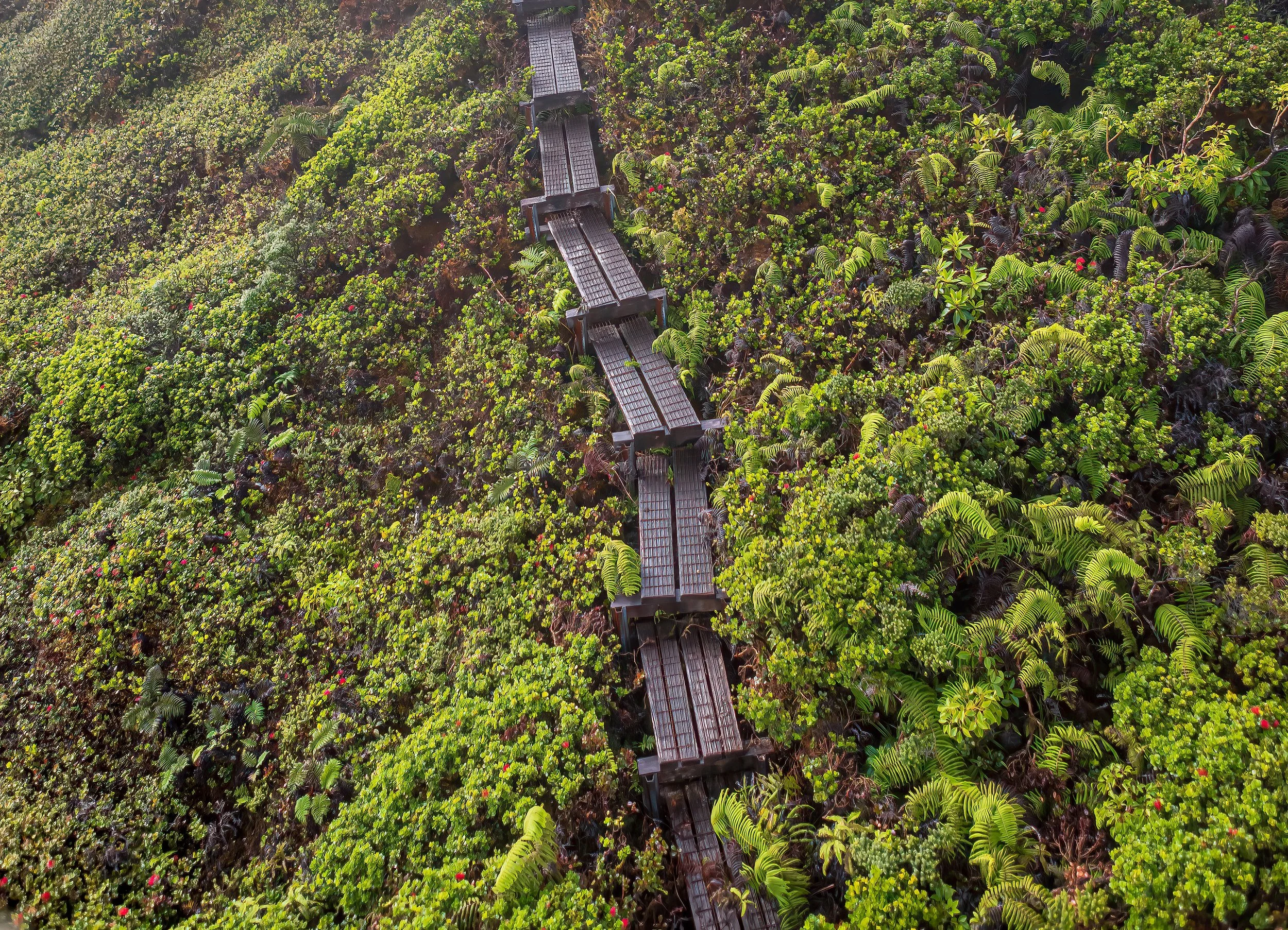 03 HC Boardwalk from Helicopter .jpeg