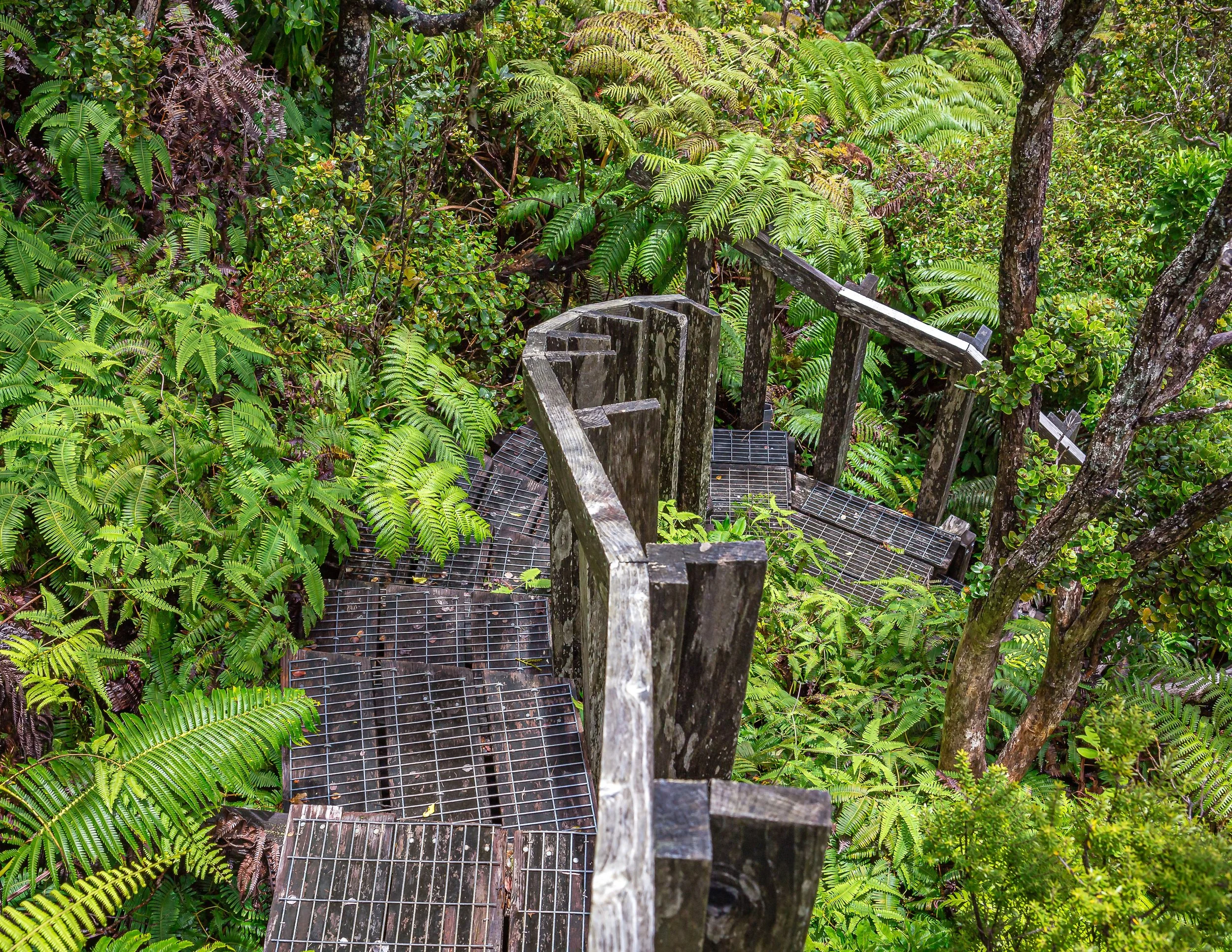 01 Jan 16-06-01 HC Boardwalk 300dpi-1a.jpeg